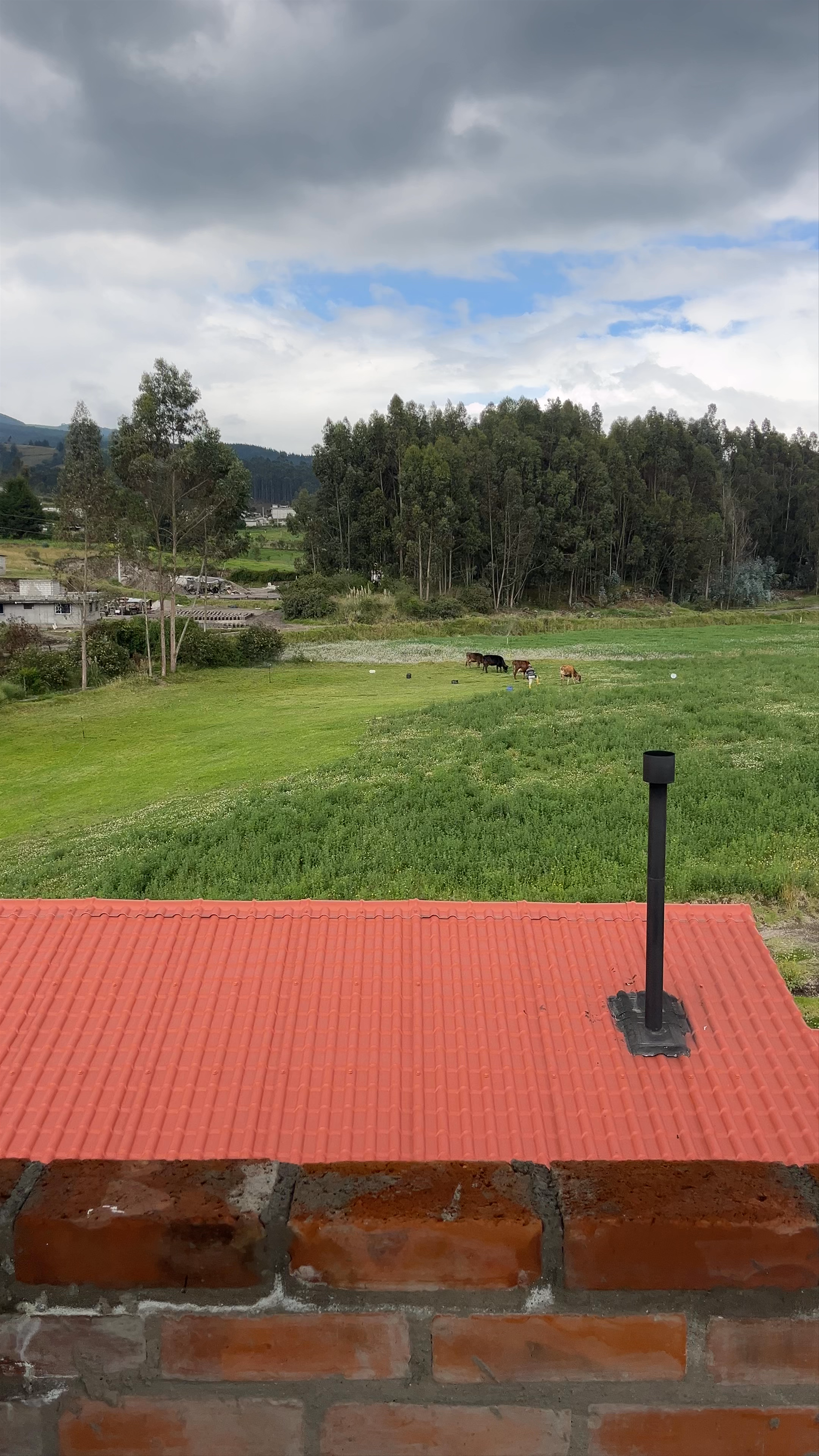 Cuscungo Cotopaxi: Serene And Cozy Lodge Escape In Ecuadorian Highlands