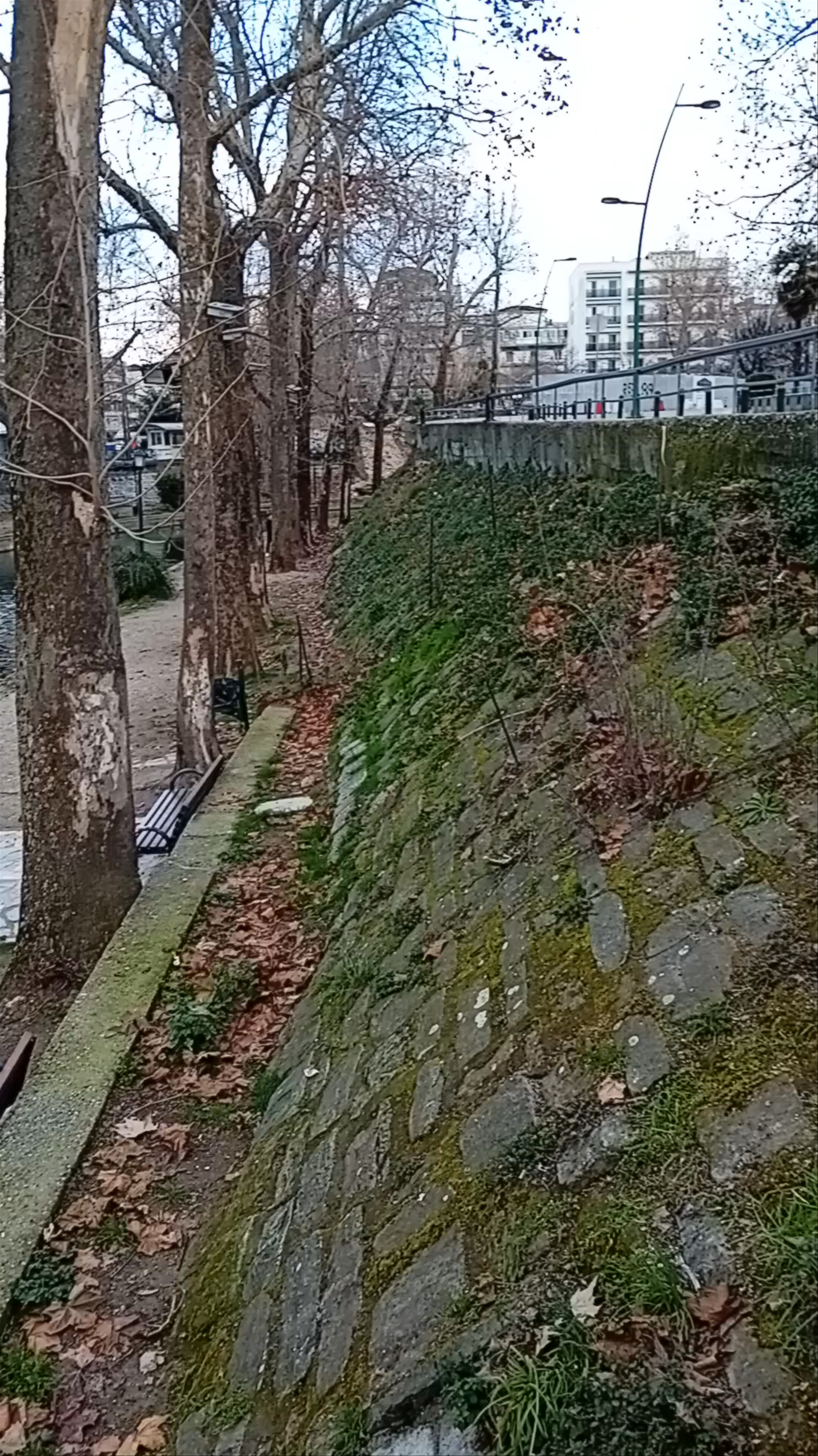 Winter Stroll Along the Lithaios River in Greece