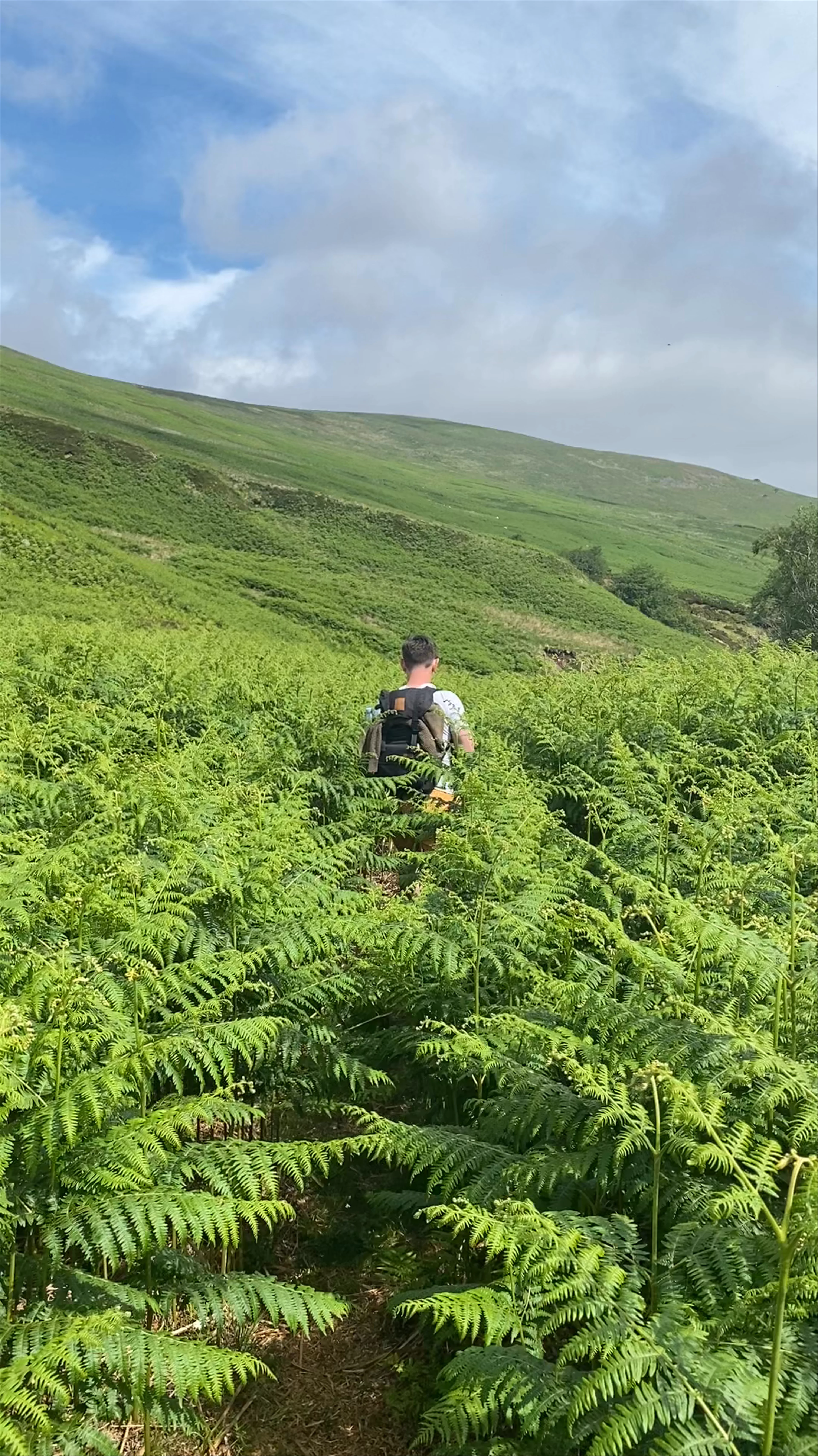 Northumberland National Park, Wooler, United Kingdom