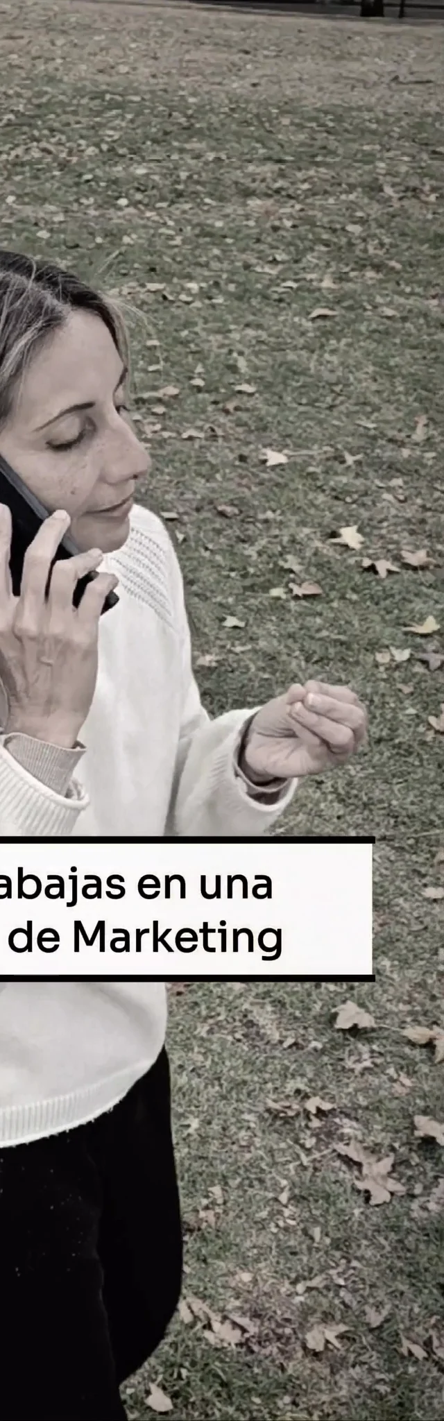Contenido del creador