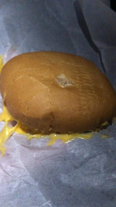 P. Terry's Burger Stand - Really disappointing and wasn't crispy at all - this costs them 50-75 cents to make and they charge $4.75?!? Disappointing and ripoff - Burgers Near Me - Austin, Texas