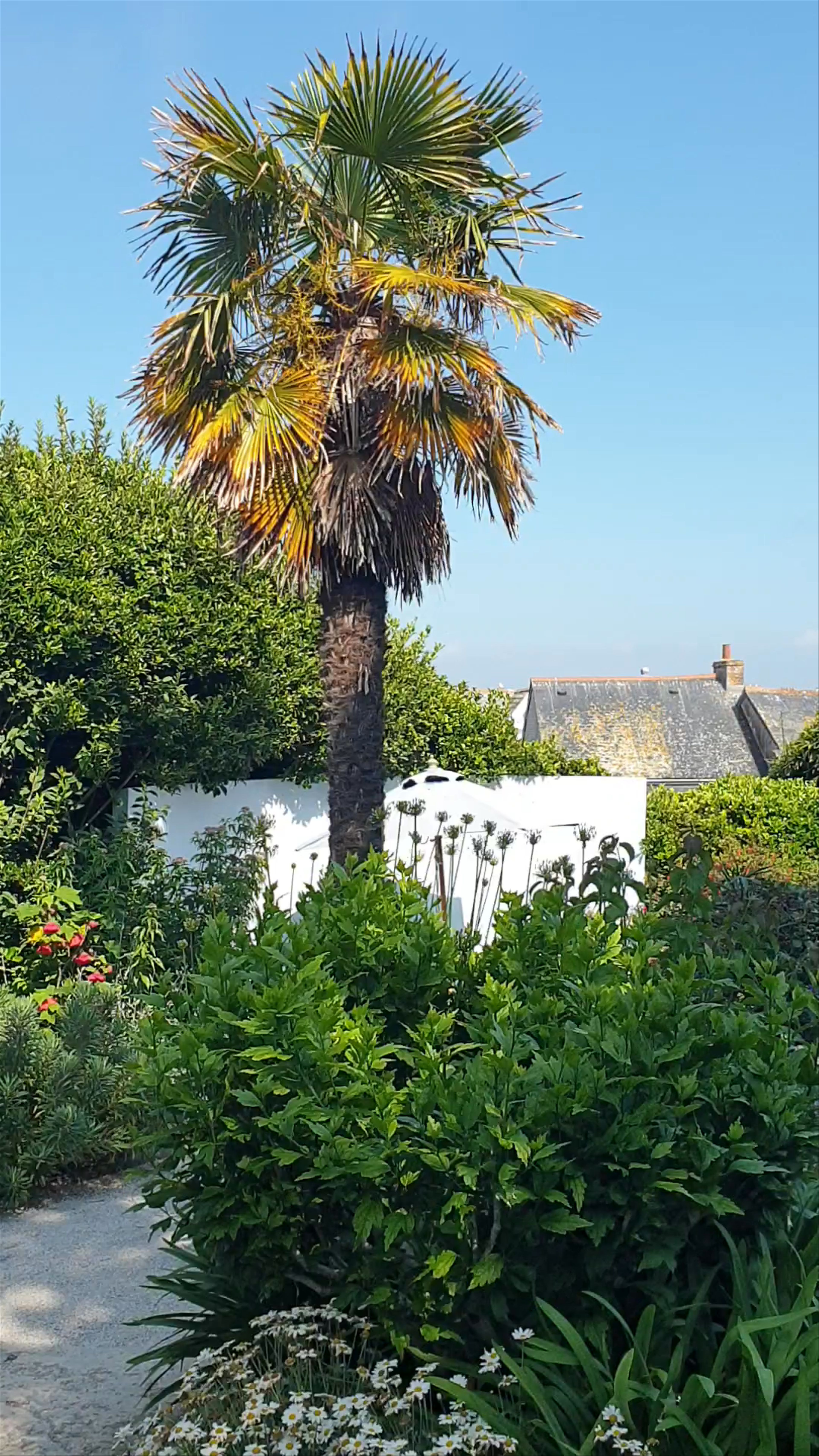 Barbara Hepworth Museum and Sculpture Garden