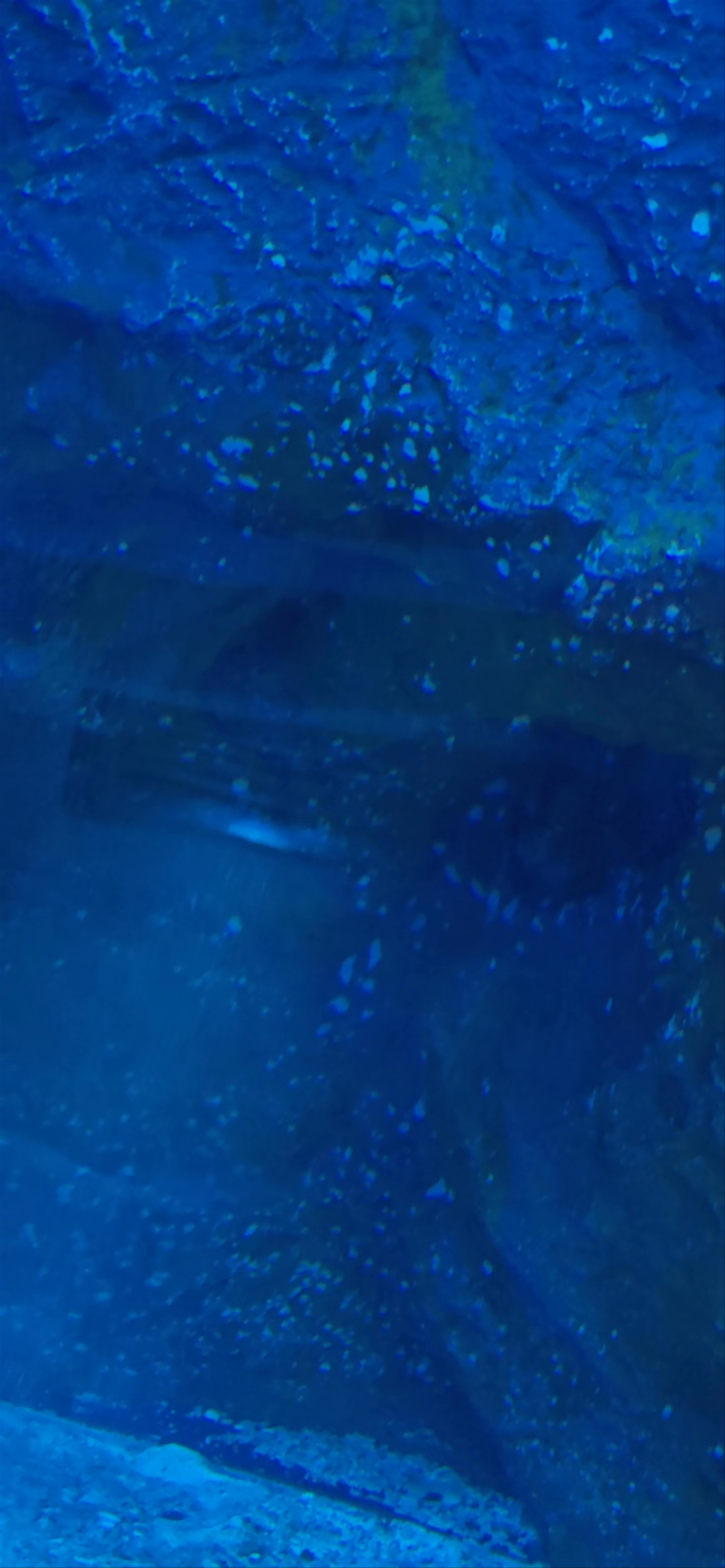 Dubai mall aquarium - Dubai Mall service road - Dubai - United Arab Emirates