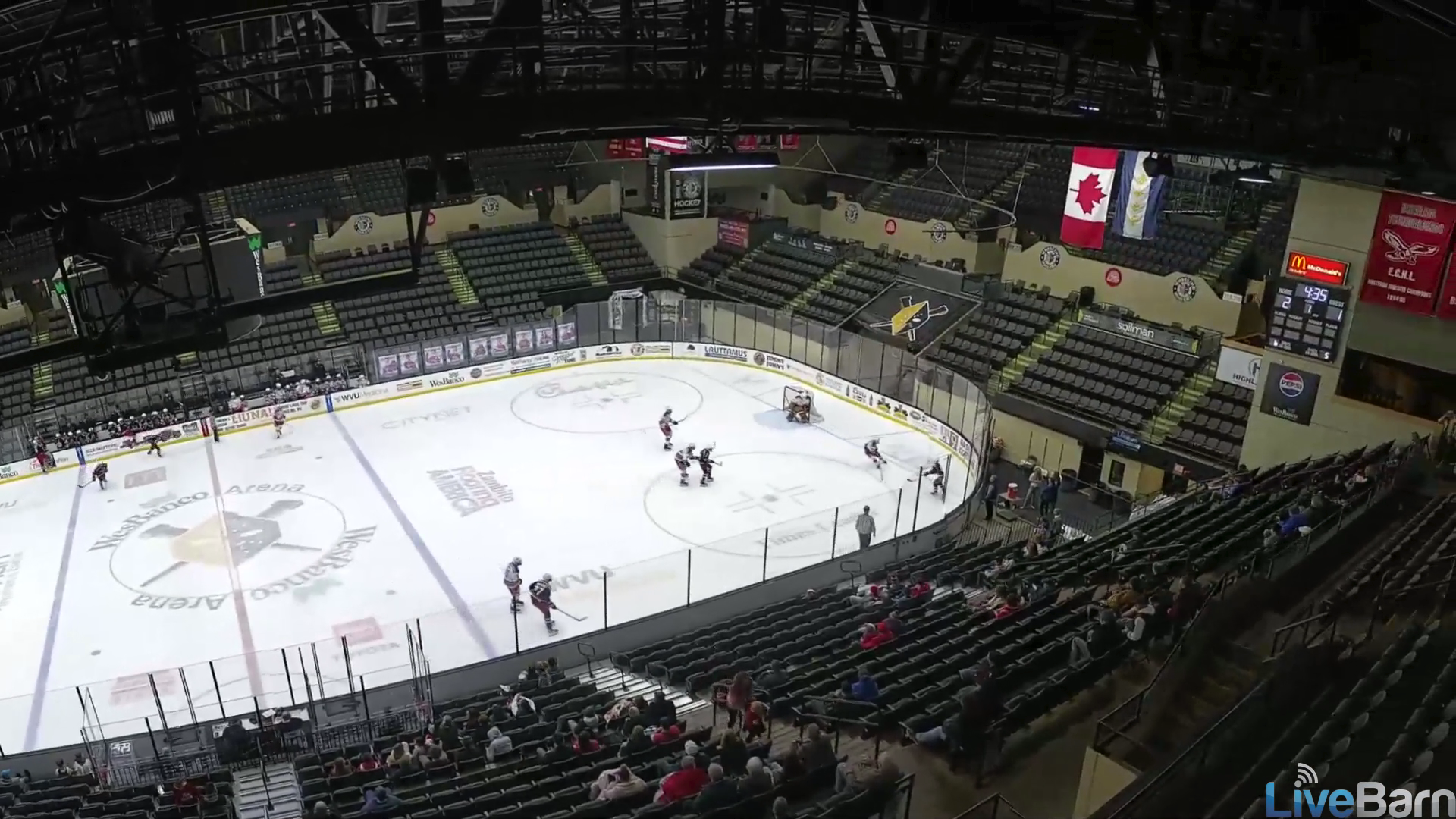 Stanley Whiteman's Back-Door Beauty | Shaler Area Highlights