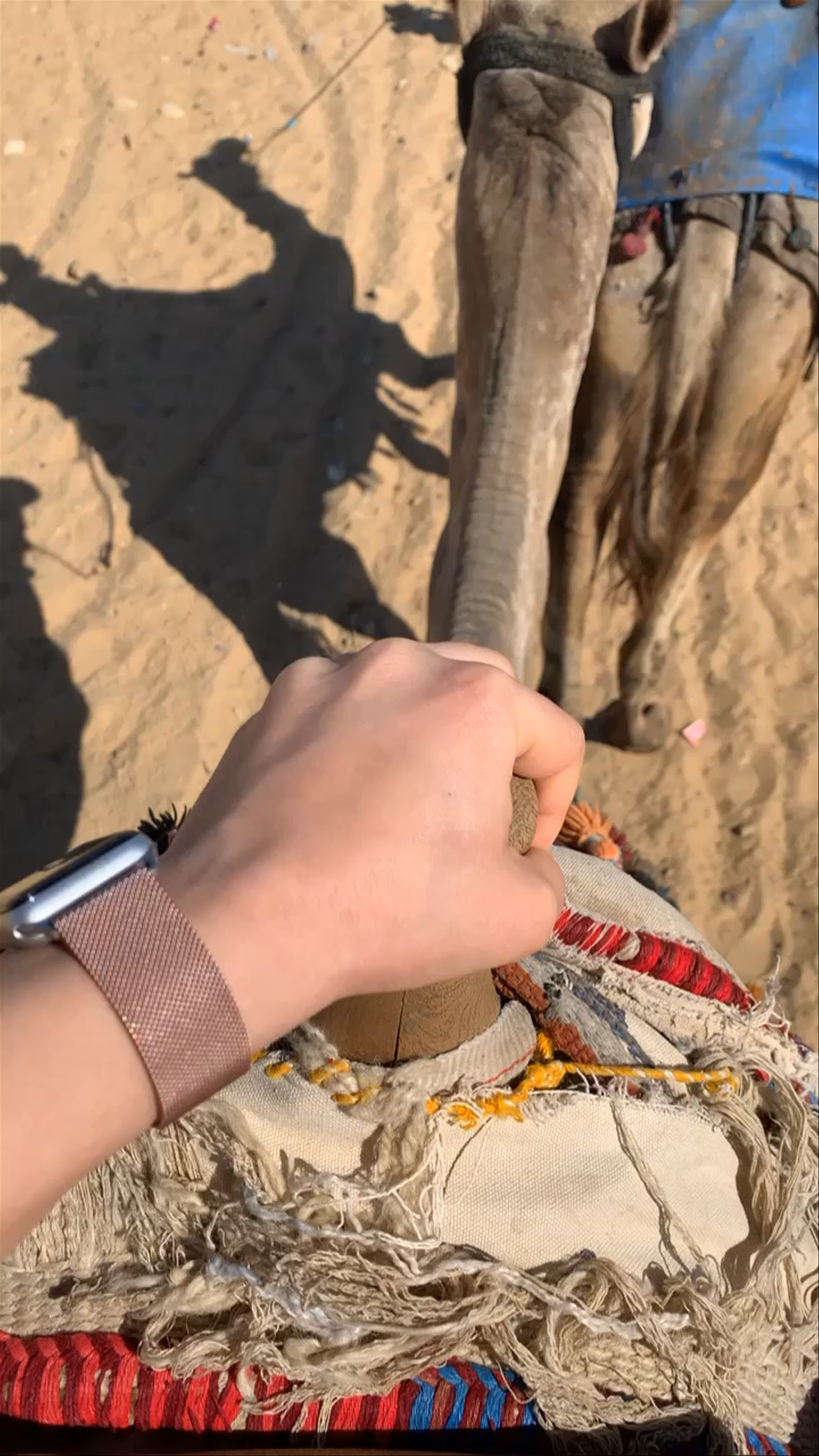 Pyramids Garden Complex