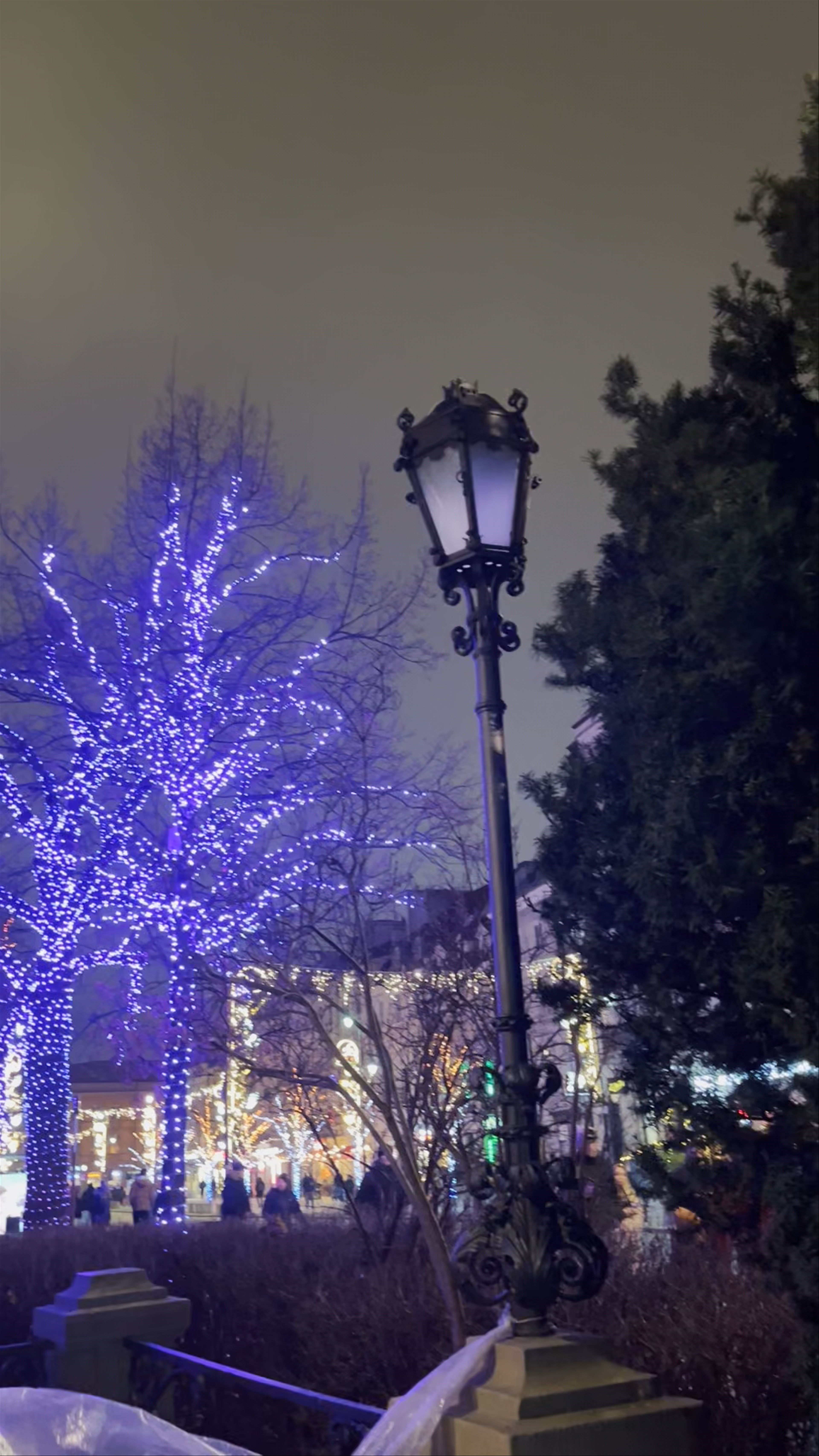 Passauer Madonna Monument Illuminated at Night in Warsaw