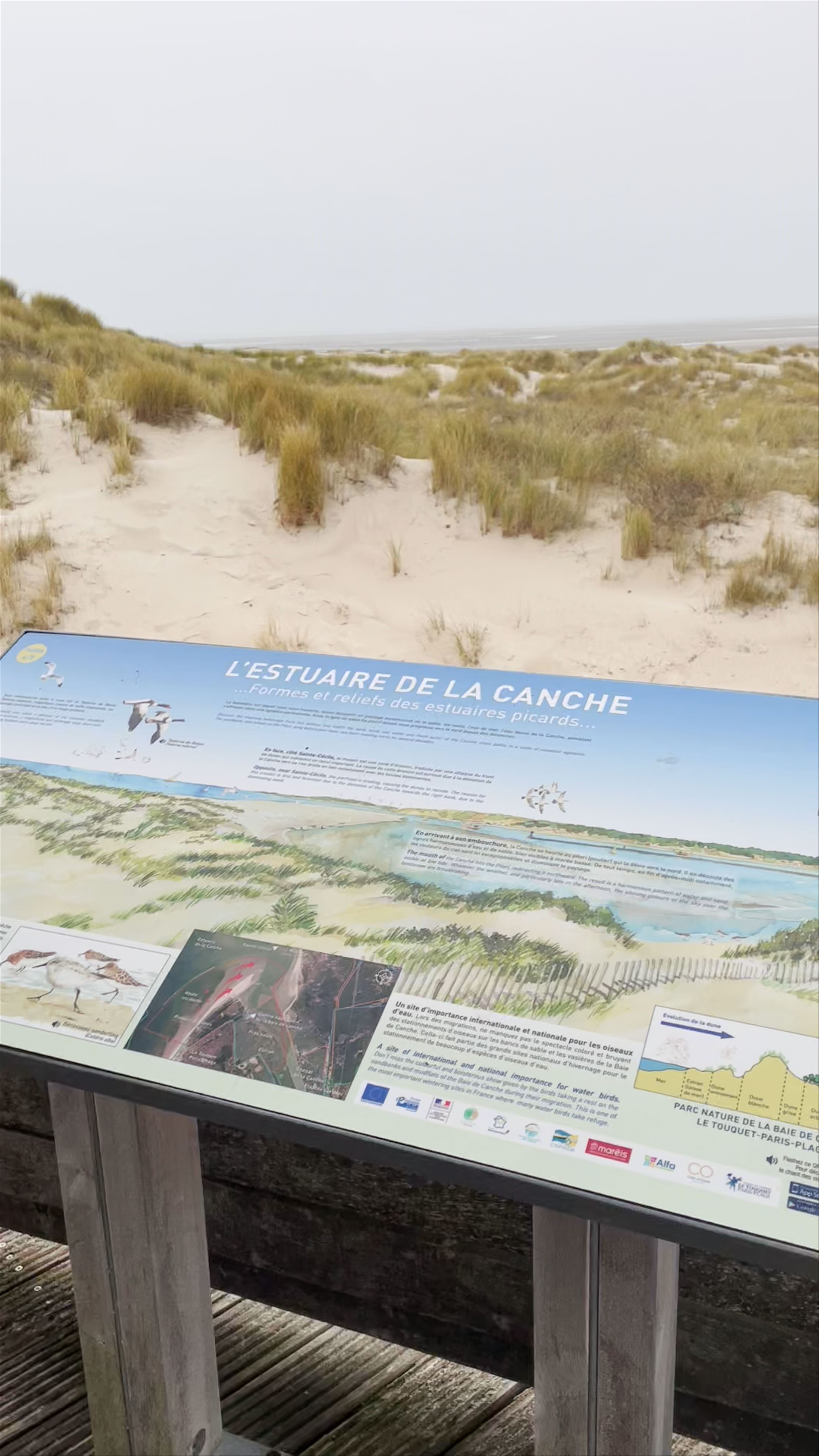 Wild Coastal Escape at L'Estuaire de la Canche, Le Touquet-Paris-Plage
