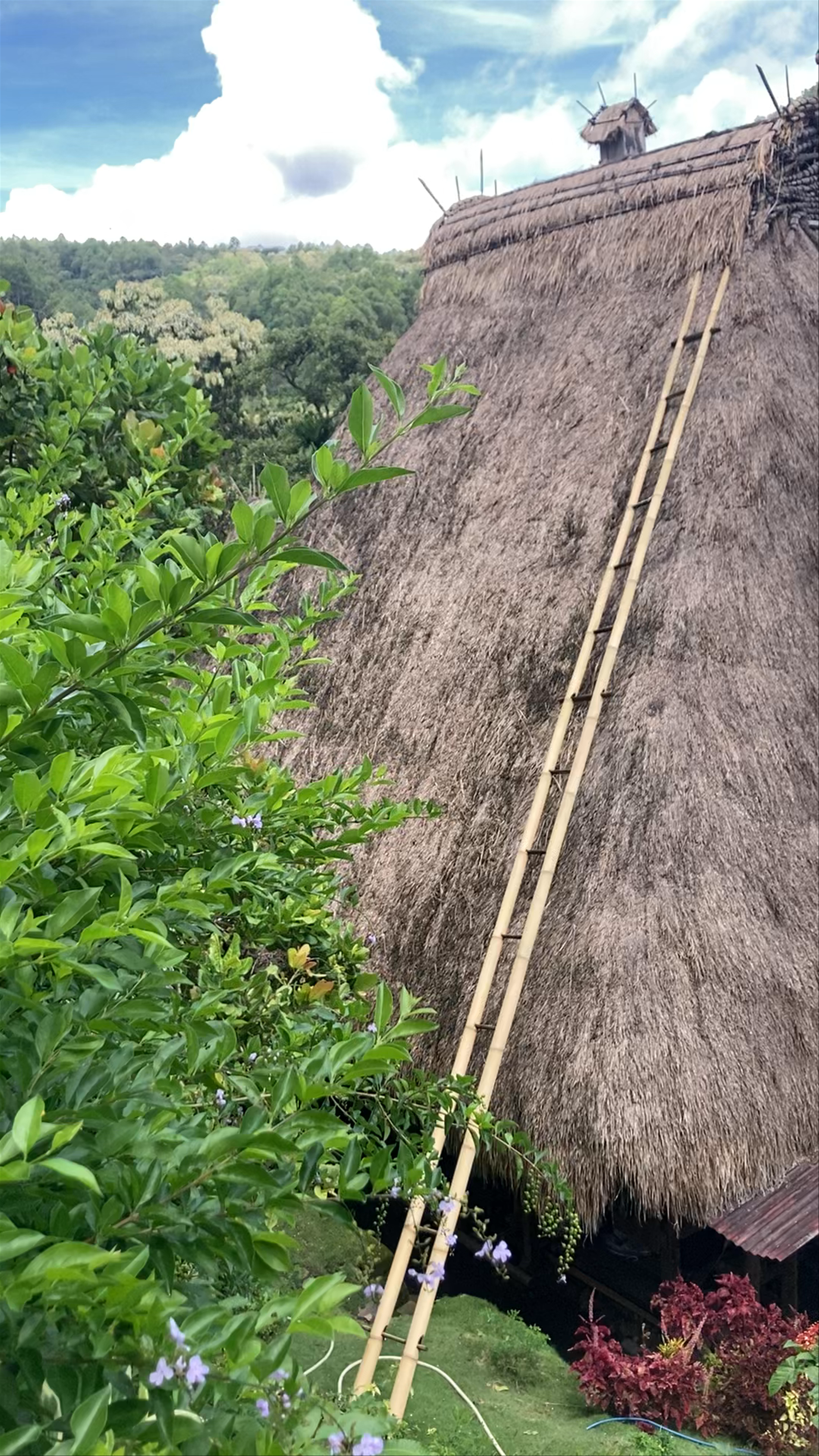 Bena Traditional Village (Thatched Roof Village)