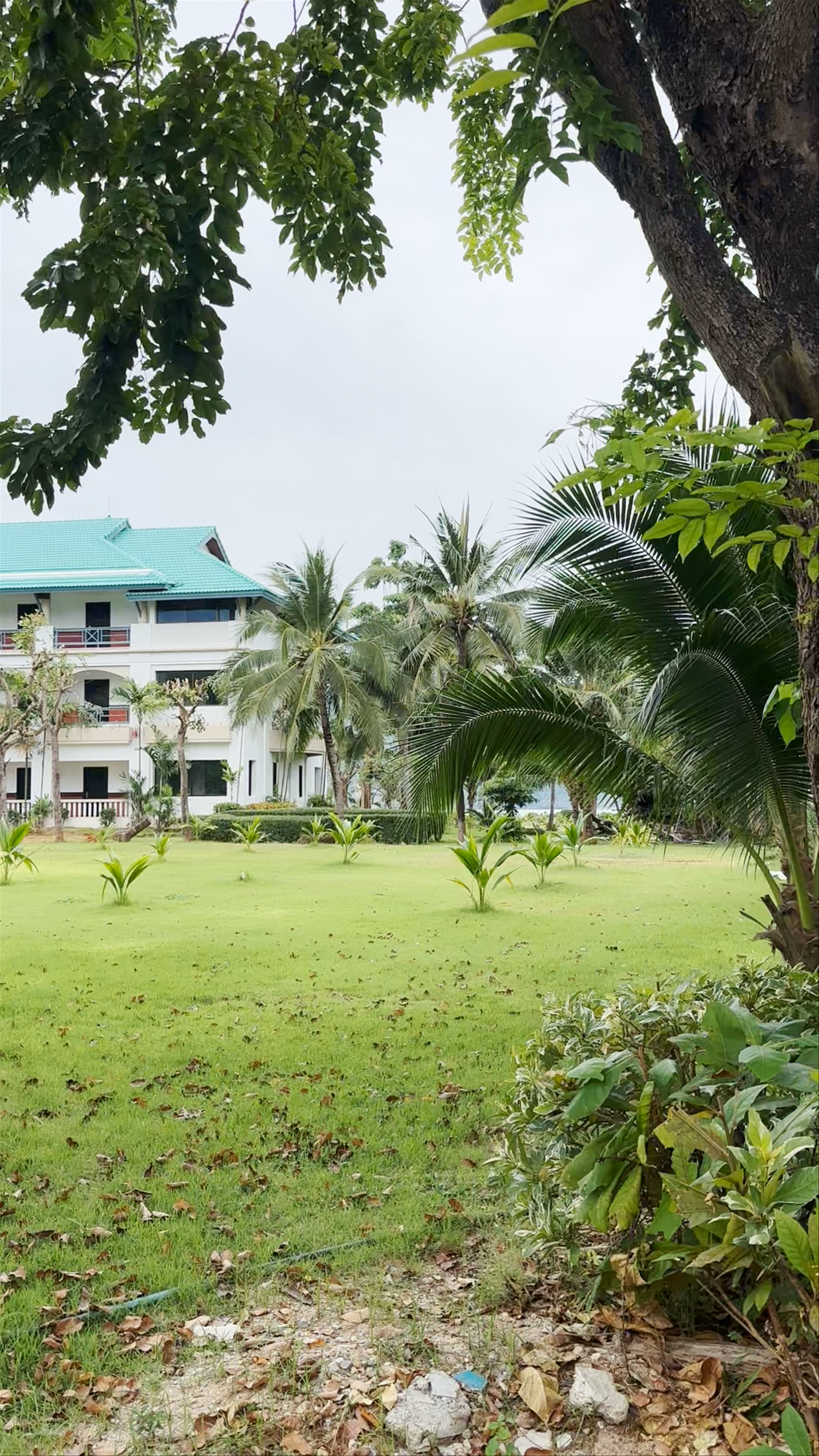 Phi Phi Island Cabana Hotel