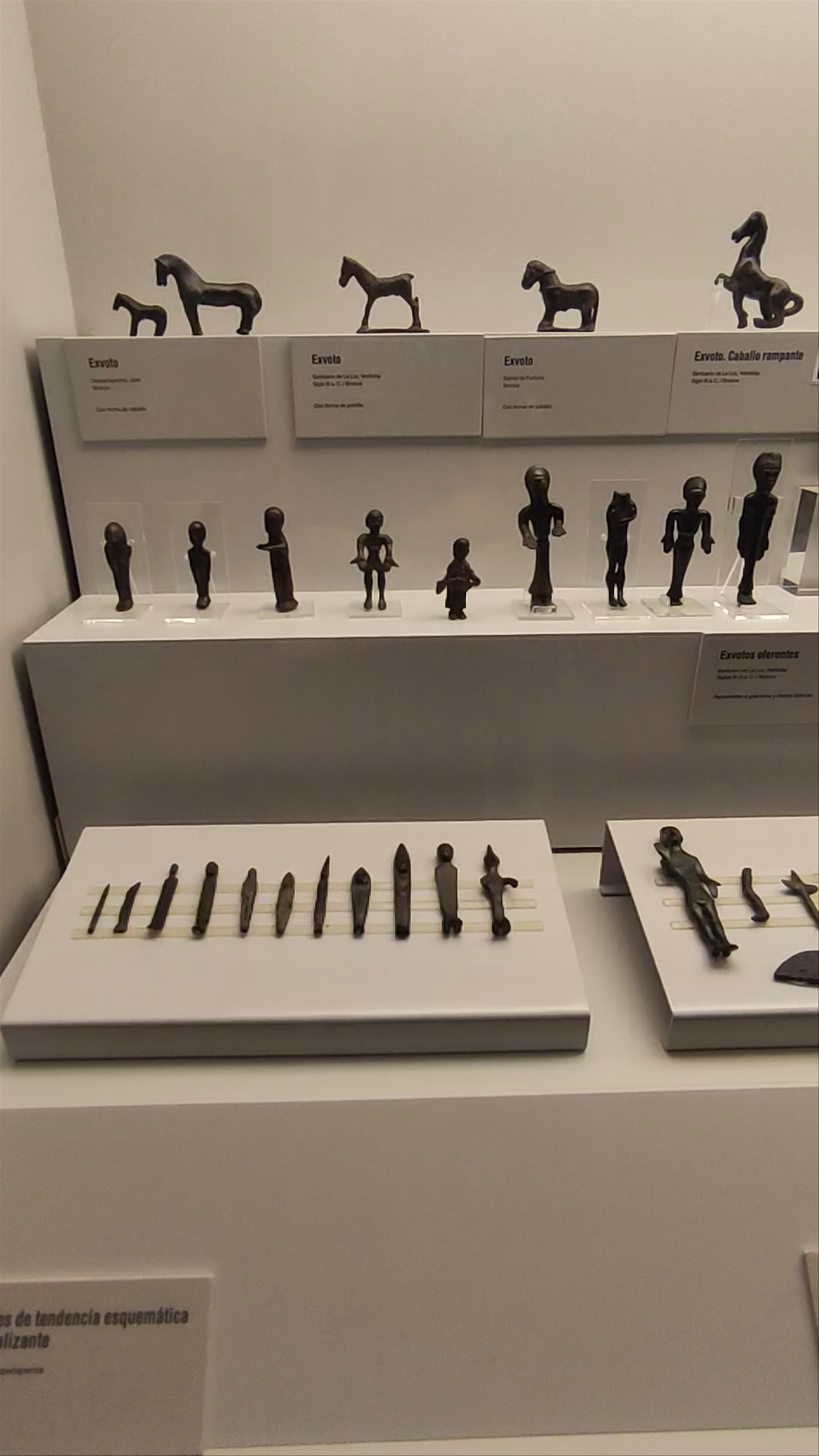 Museo Arqueológico de Murcia (MAM)