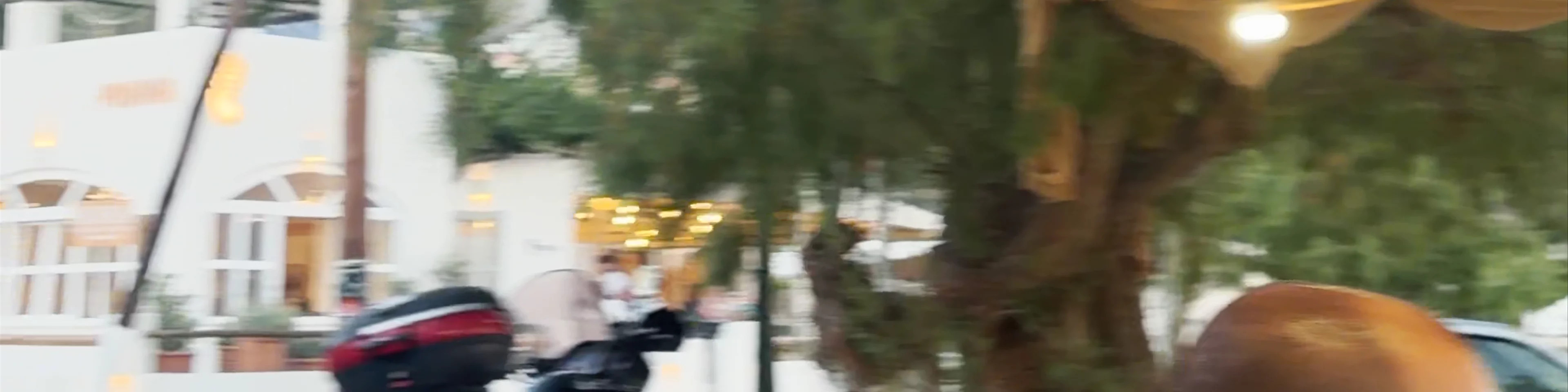 Ταβέρνα Αργω