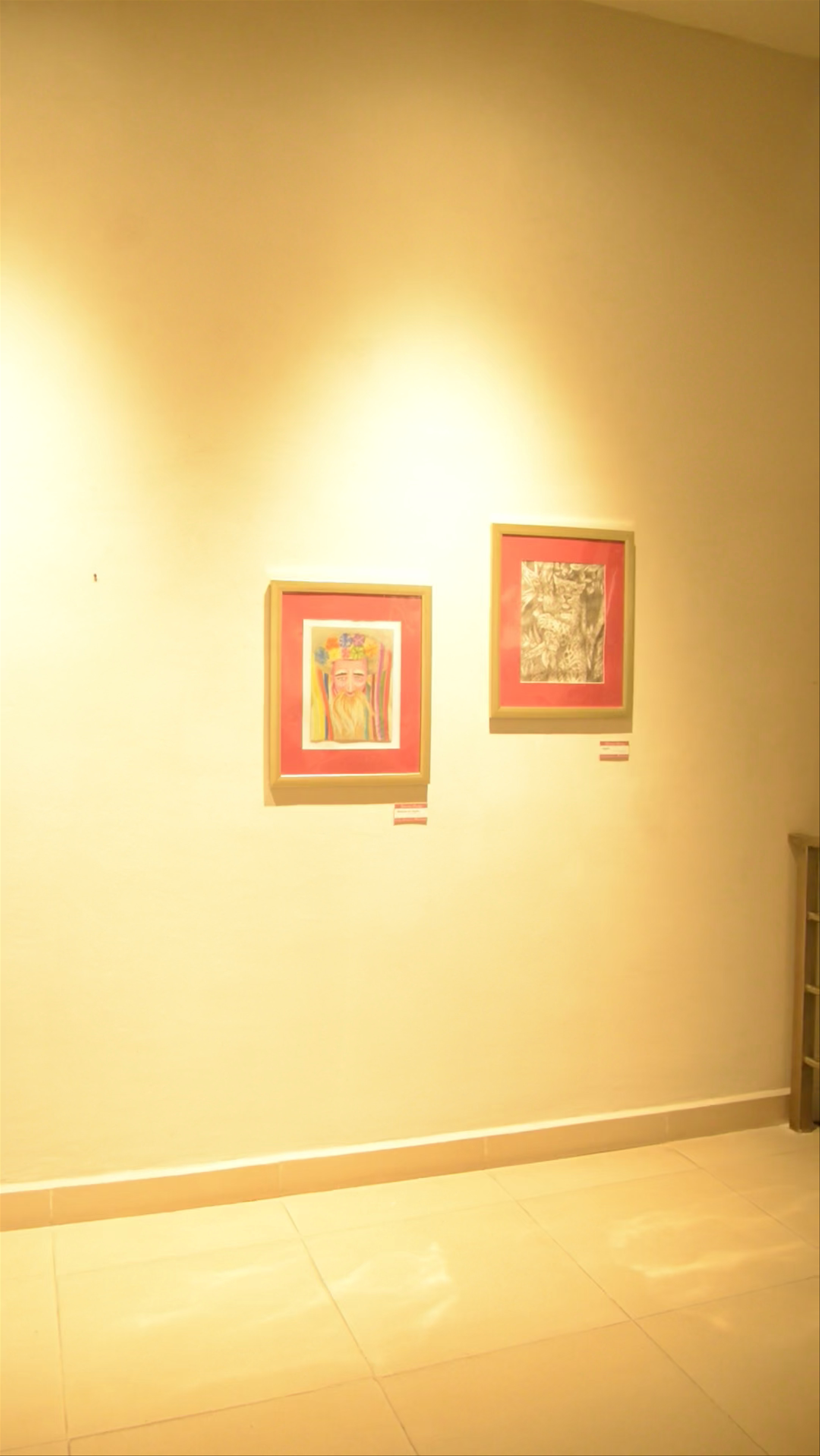 Museo de Cozumel: A Serene Art and Nature Escape in Quintana Roo
