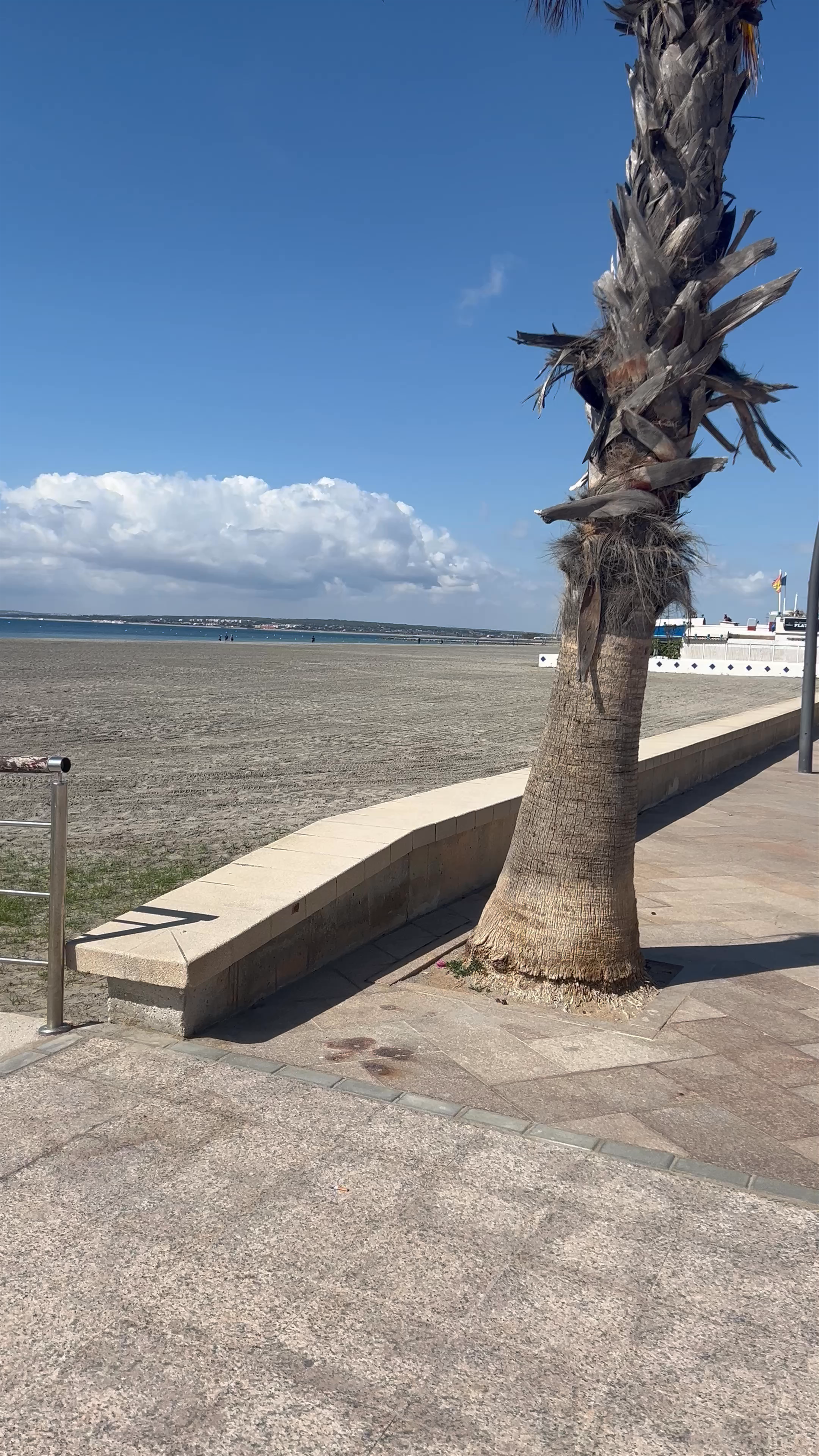 Sunny Stroll Along Playa Tamarit Beach, Santa Pola, Spain