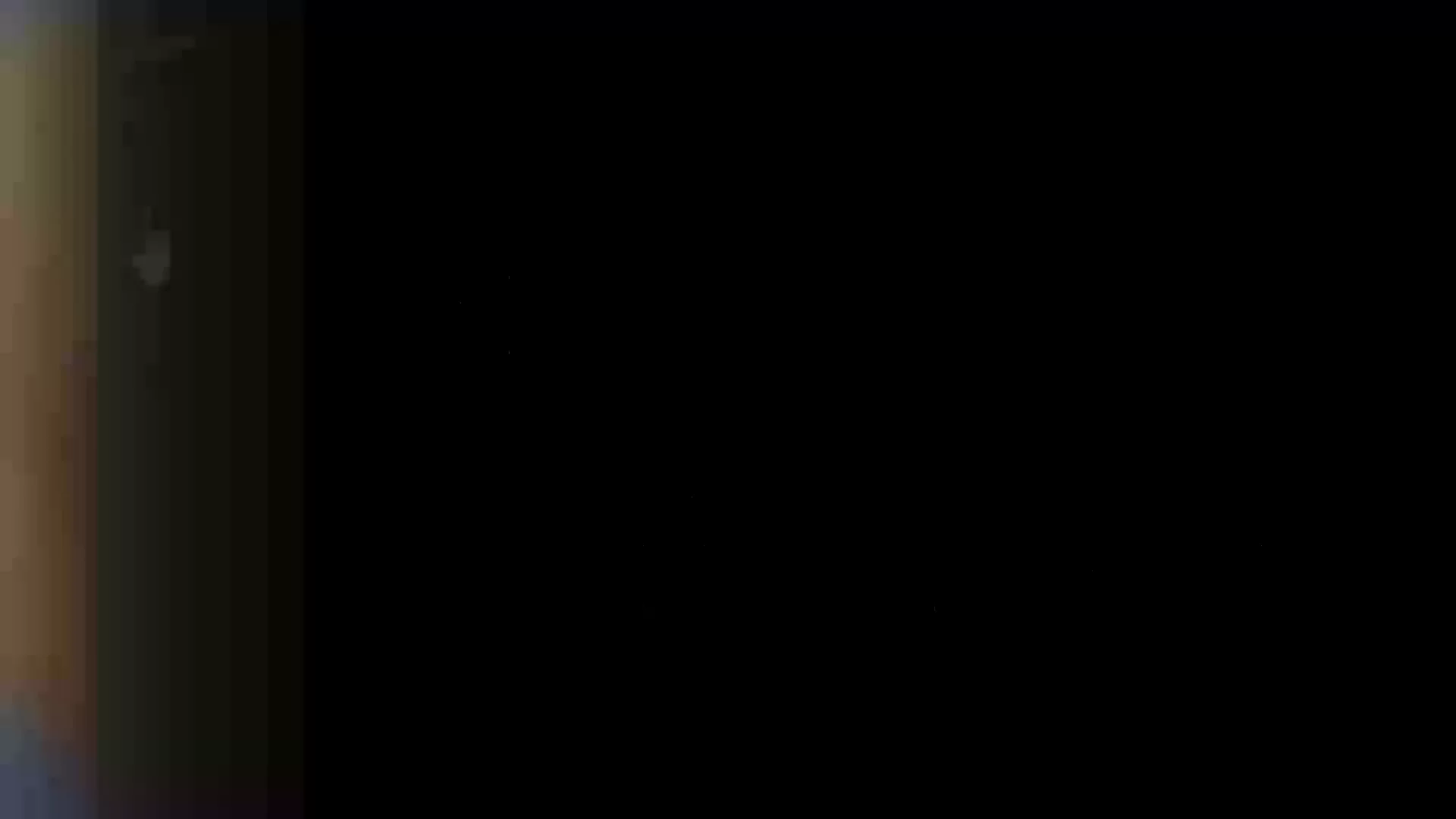 Revispy image 1