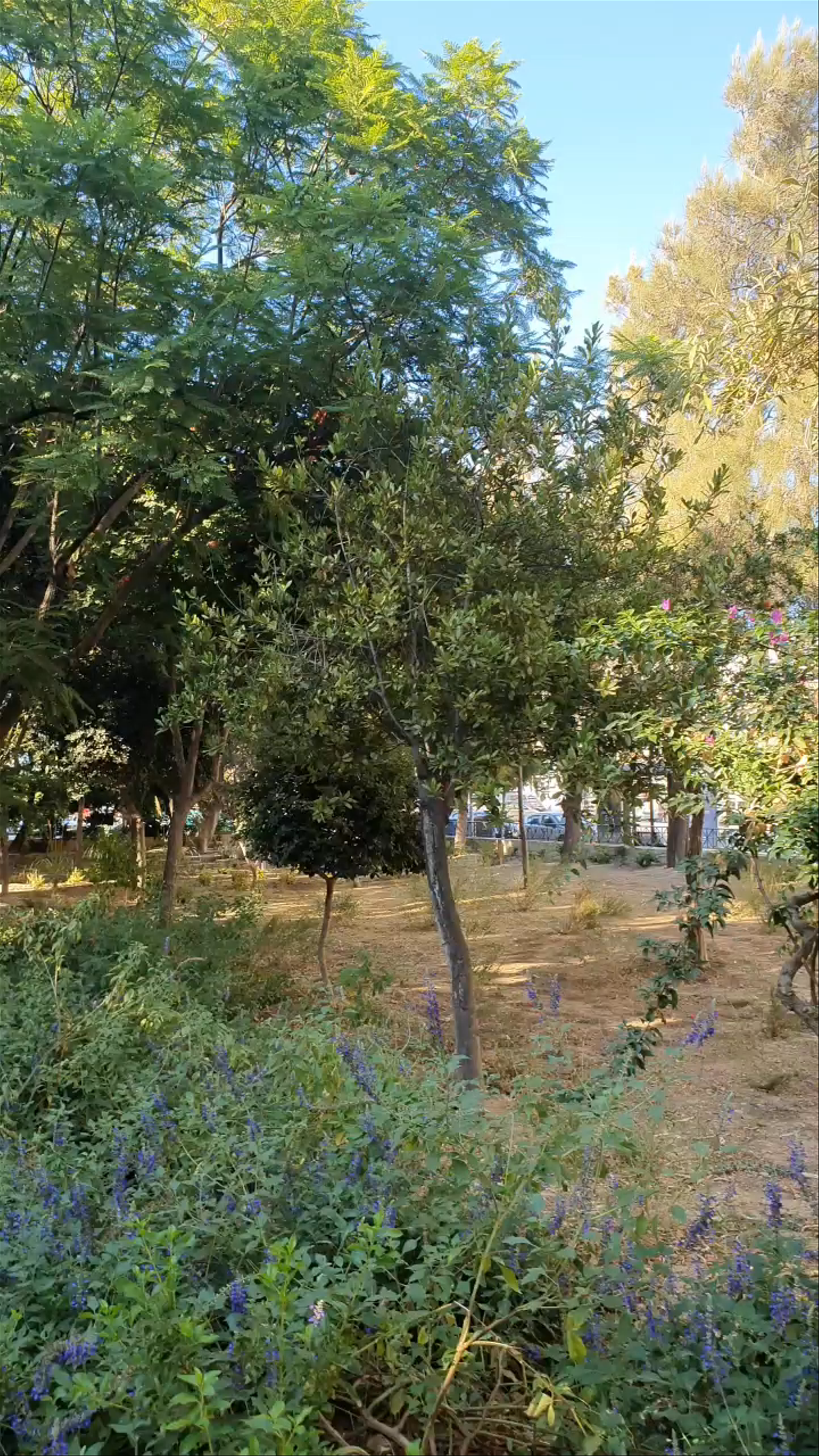 Parko Georgiadi: A Tranquil Urban Oasis in Heraklion