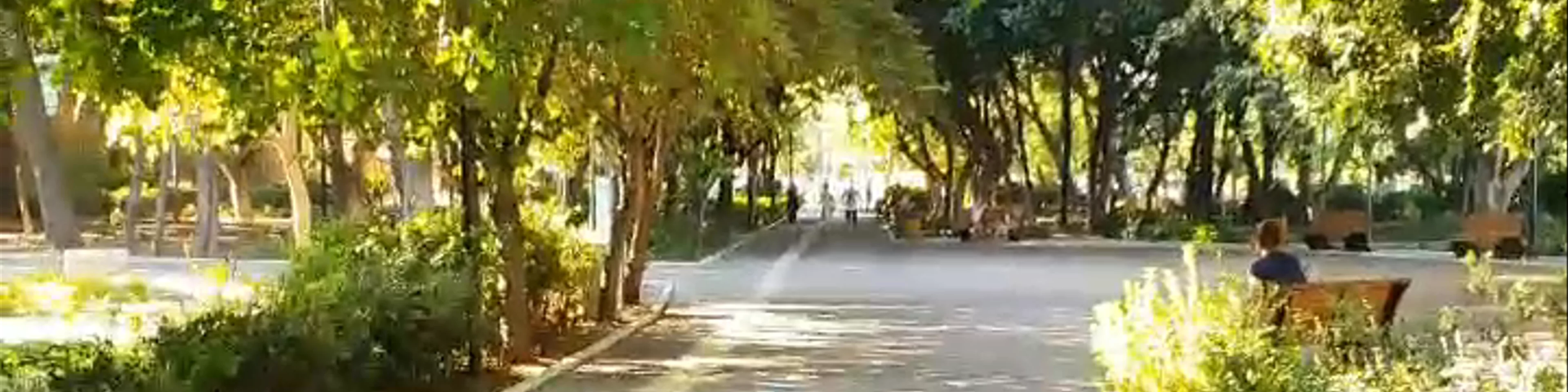 Georgiadis Park
