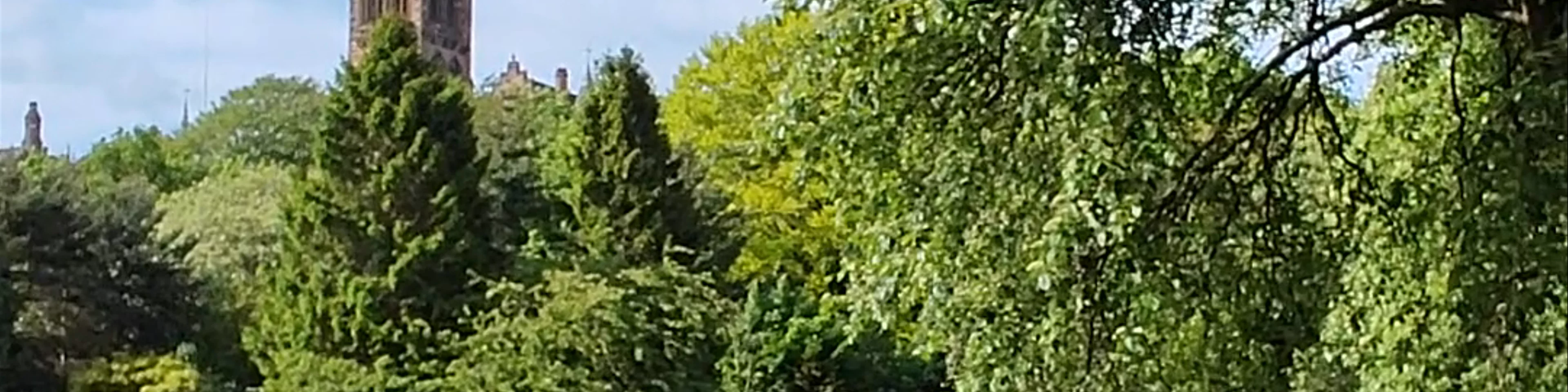 Kelvingrove Park