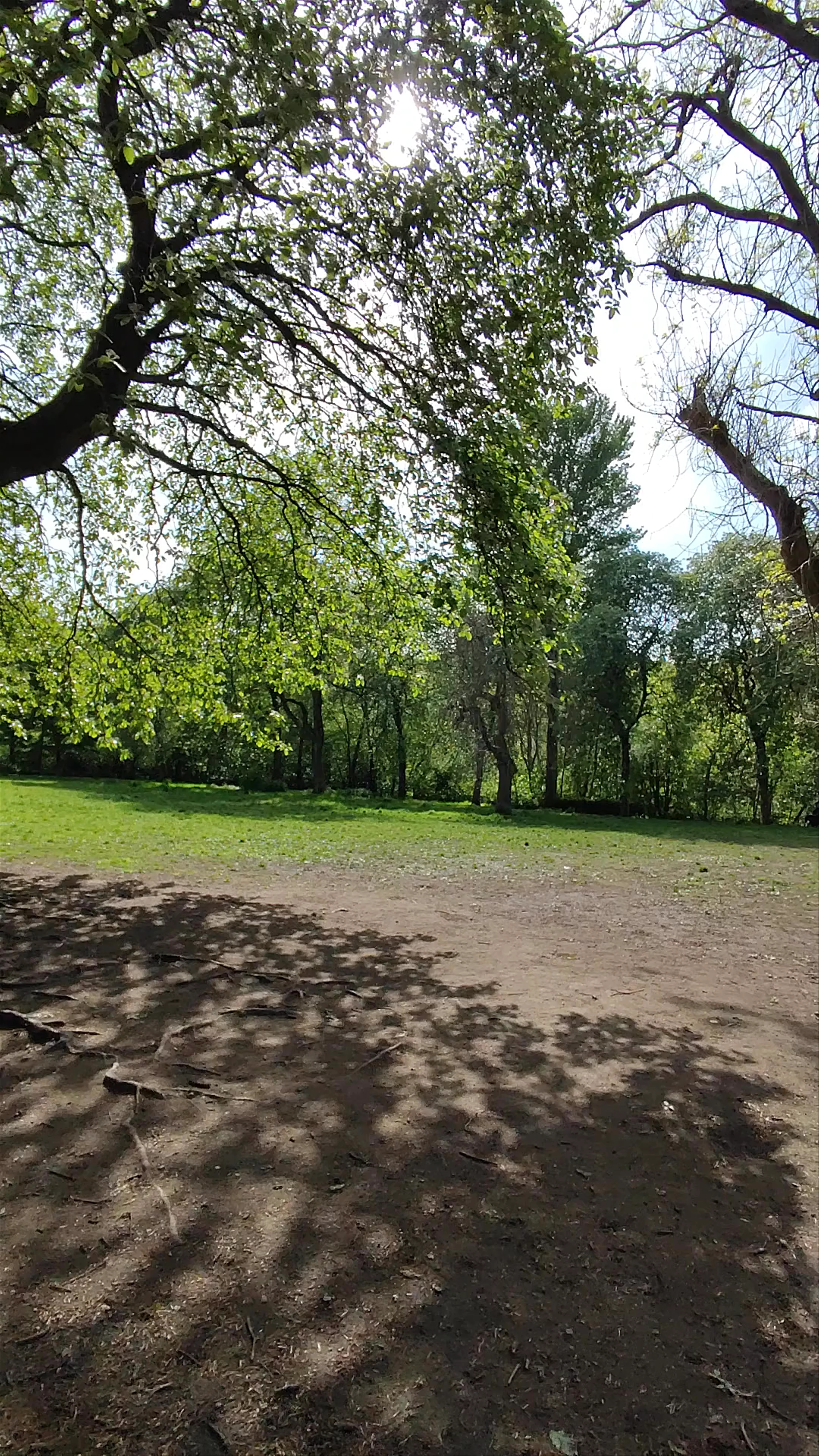 Kelvingrove Park, Professors' Square