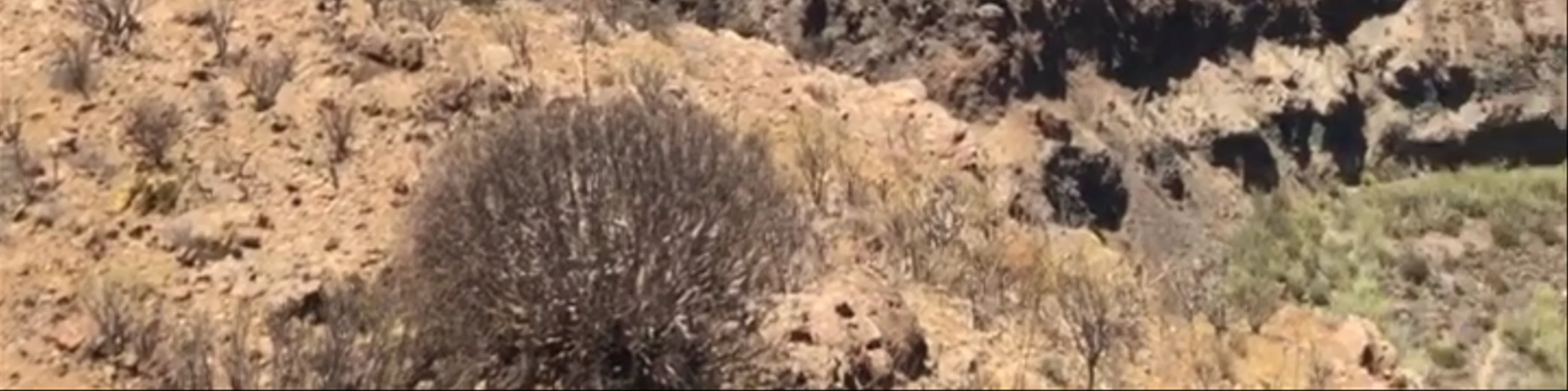 Mirador Astronómico de la Degollada de las Yeguas