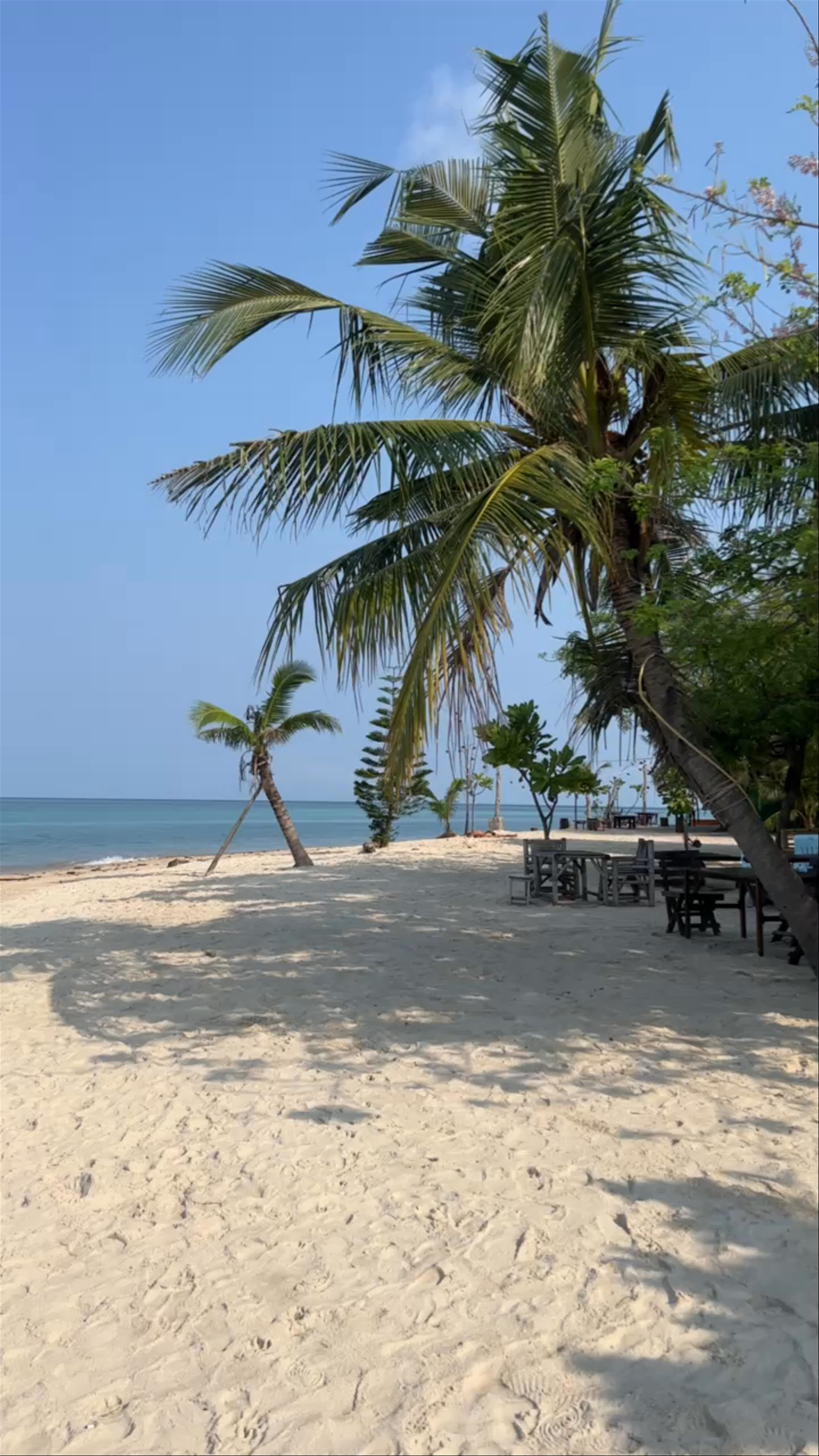 Zen Beach