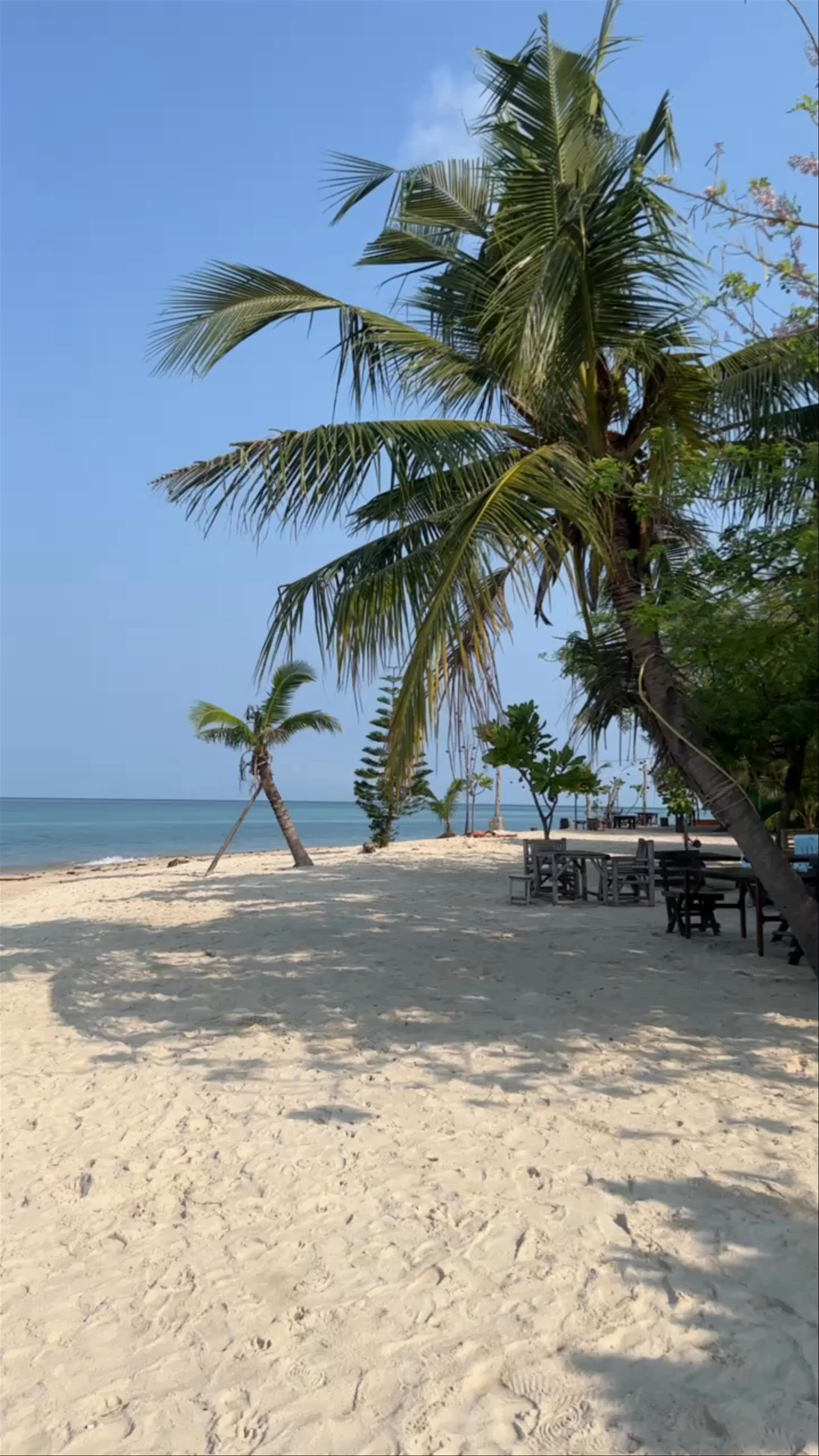 Zen Beach, Ko Pha-ngan District, Surat Thani, Thailand