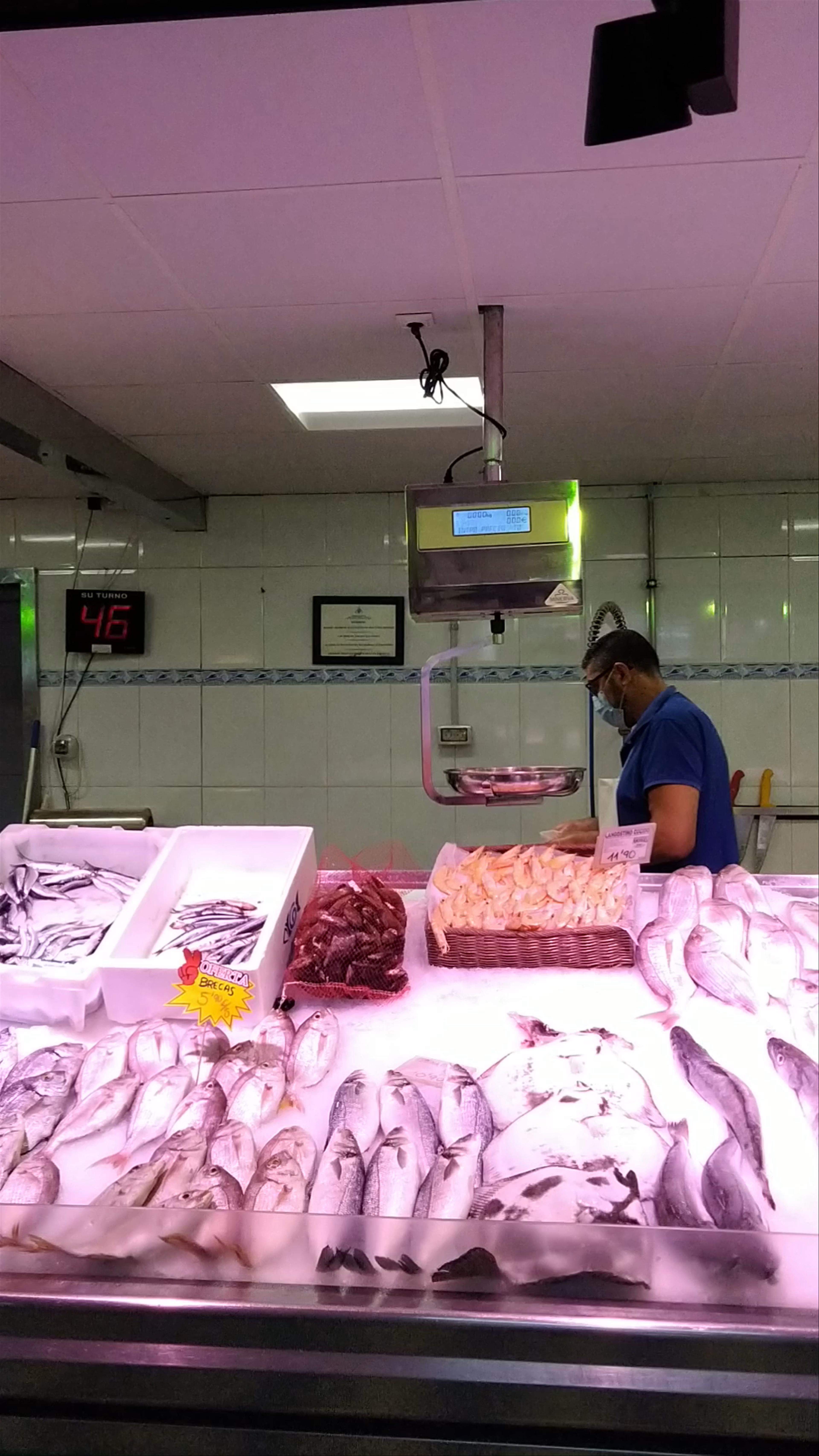 Mercado Central de Las Palmas: Fresh Seafood and Local Vibes