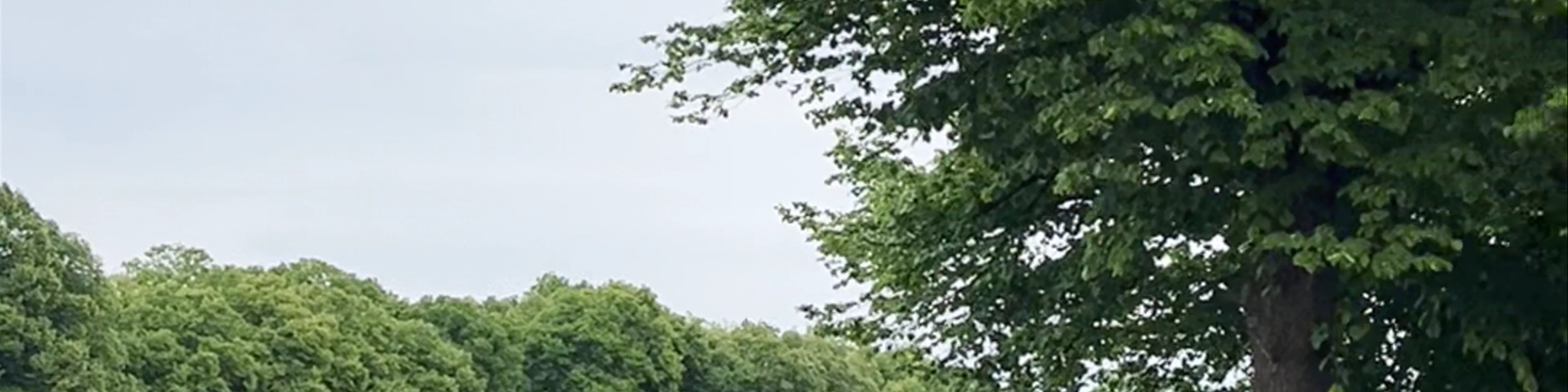 Hofgarten Bonn