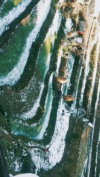 Photo of UTTARAKHAND'S BLISSF