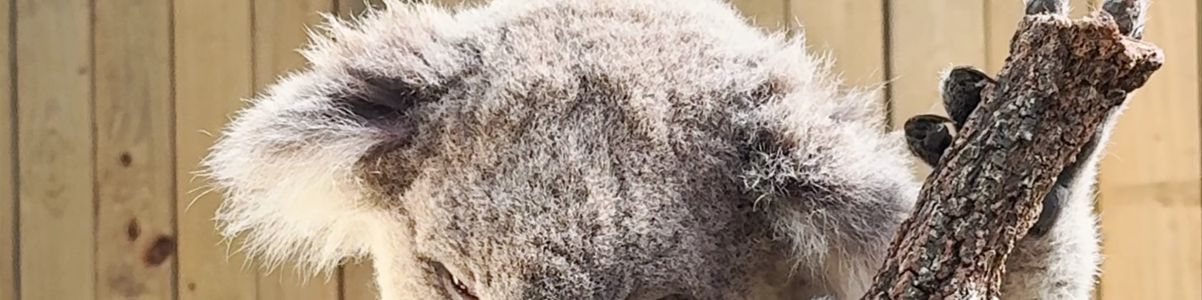 Symbio Wildlife Park