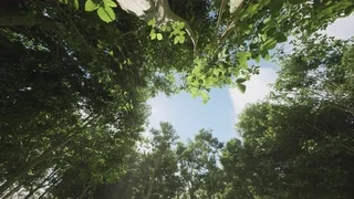 Preview of Ethan's film