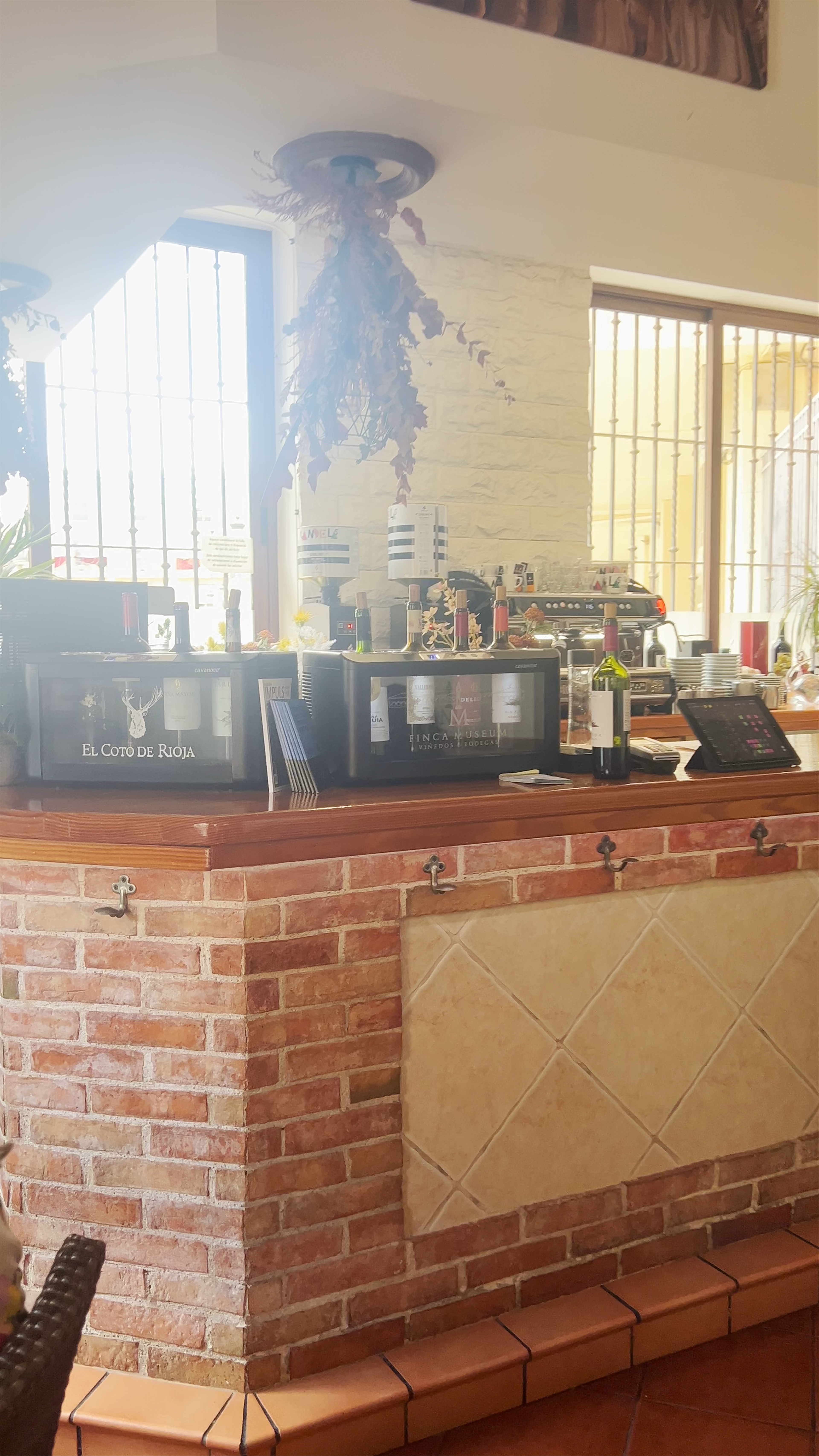 Museum Restaurante: Cozy Culinary Experience in Elche, Spain