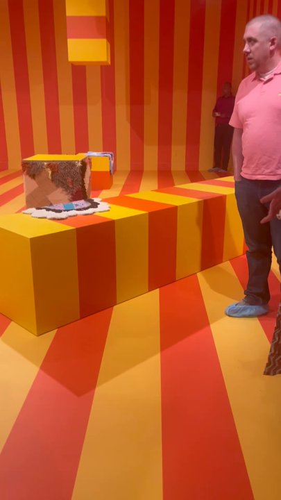 ASU Art Museum - Video of "Sarah Zapata: Beneath the breath of the sun". - Art Museums Near Me - Tempe, Arizona