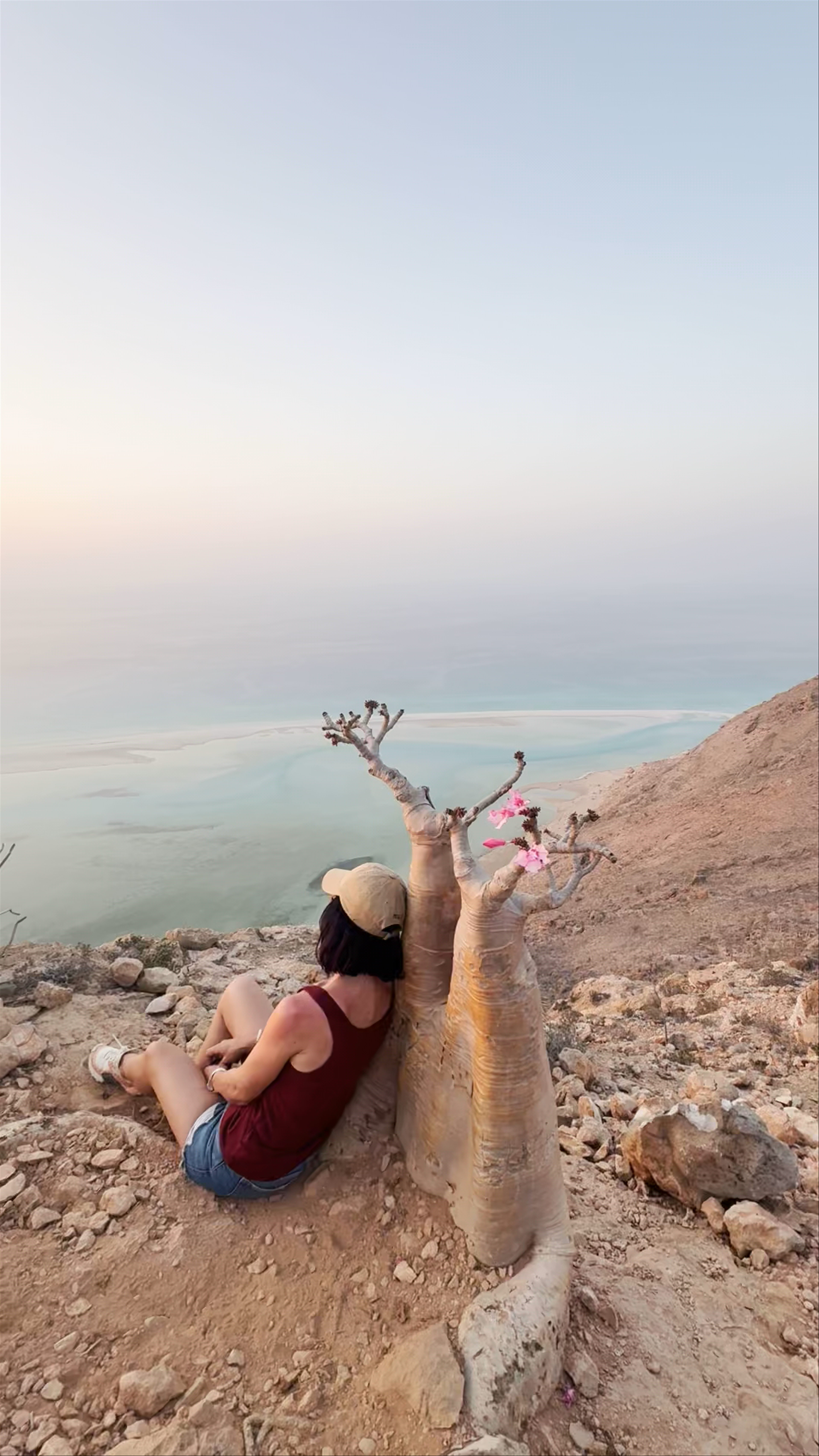 Bottle tree view