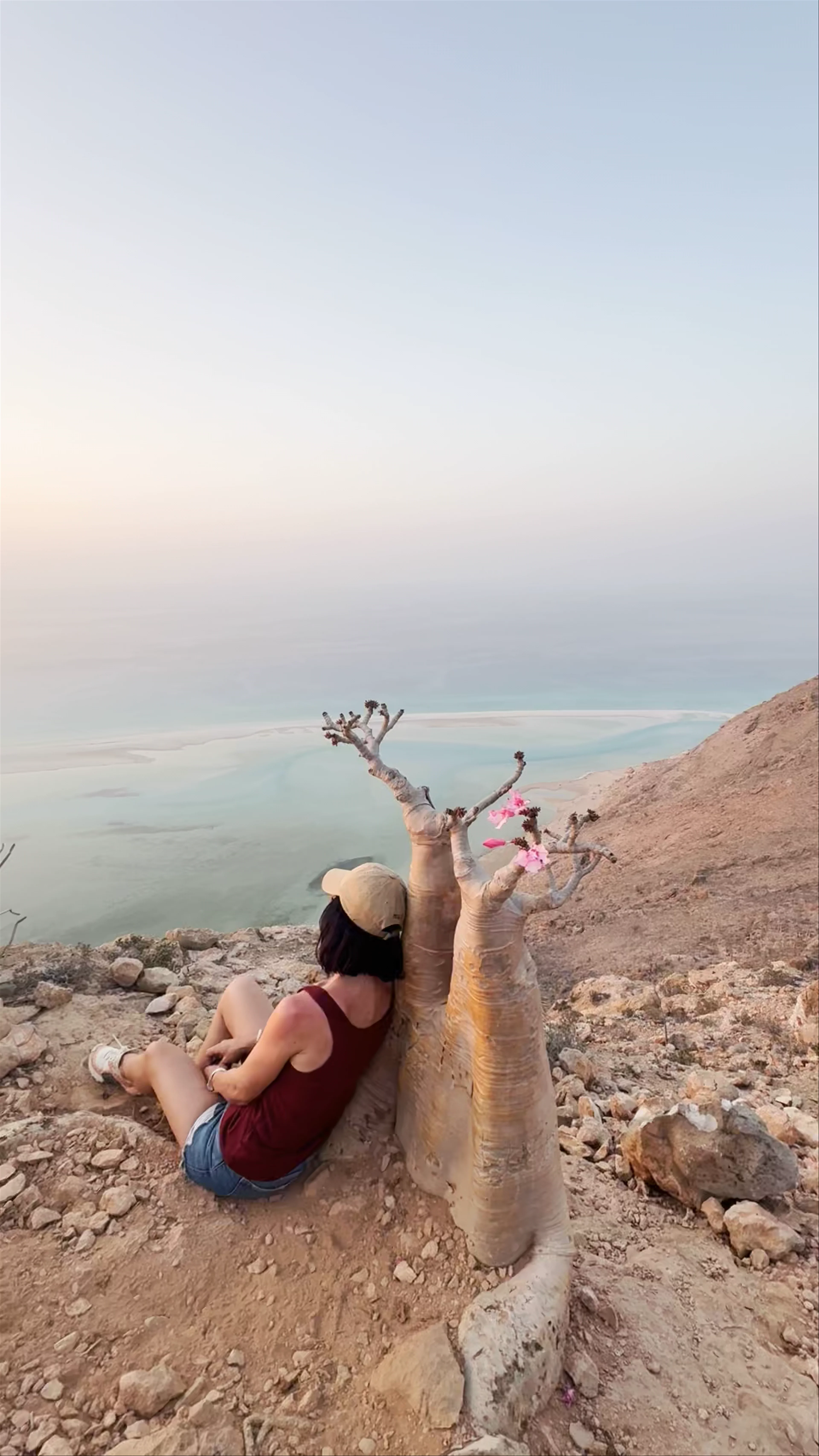 Bottle tree view, Qalansiyah