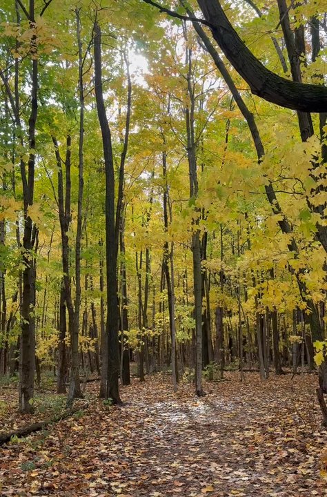 High Cliff State Park - Parks Near Me - Sherwood, Wisconsin