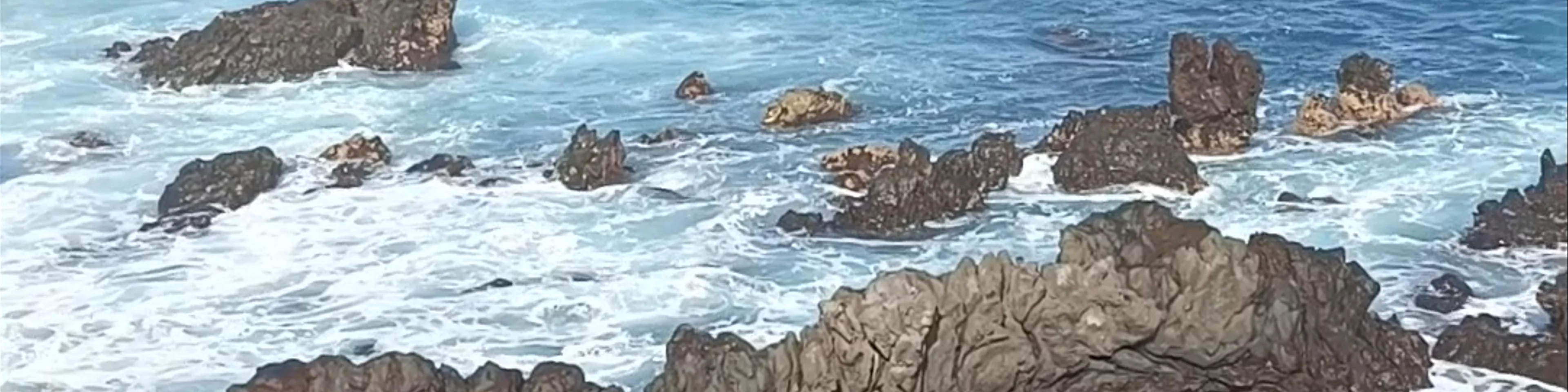 Puerto de la Cruz
