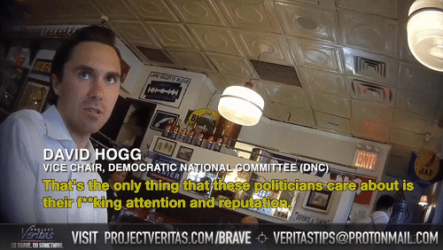 Video Thumbnail Loop