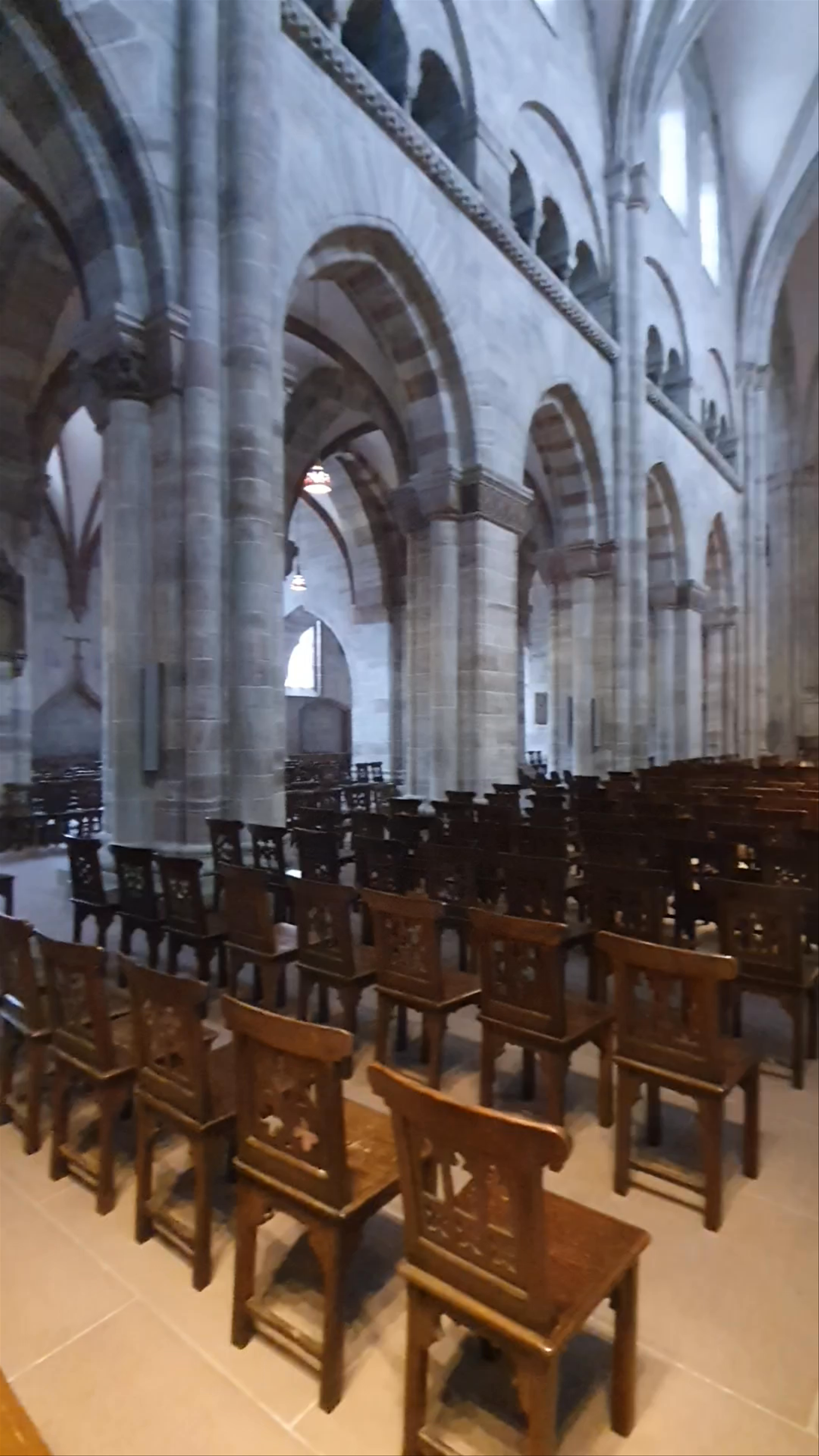 Basel Münster