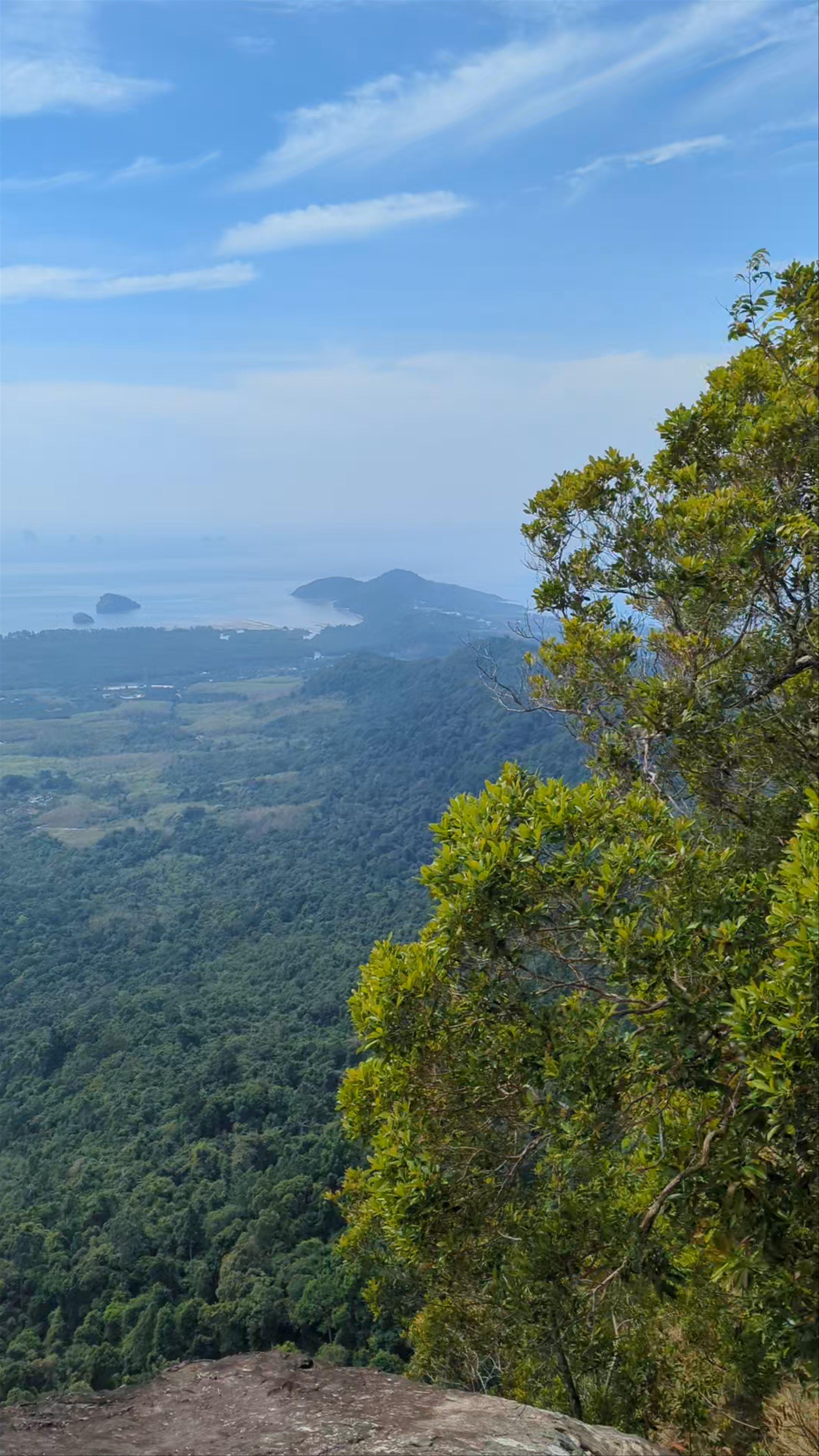Dragon's Crest (Ngon Nak Nature Trail): Stunning Coastal Jungle Hike in Krabi, Thailand