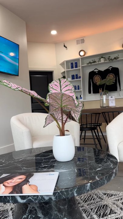 The Aesthetic Method - The Aesthetic Method - Medical Spas Near Me - Ferndale, Michigan
