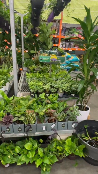 The Home Depot - Nurseries & Gardening Near Me - Oceanside, California