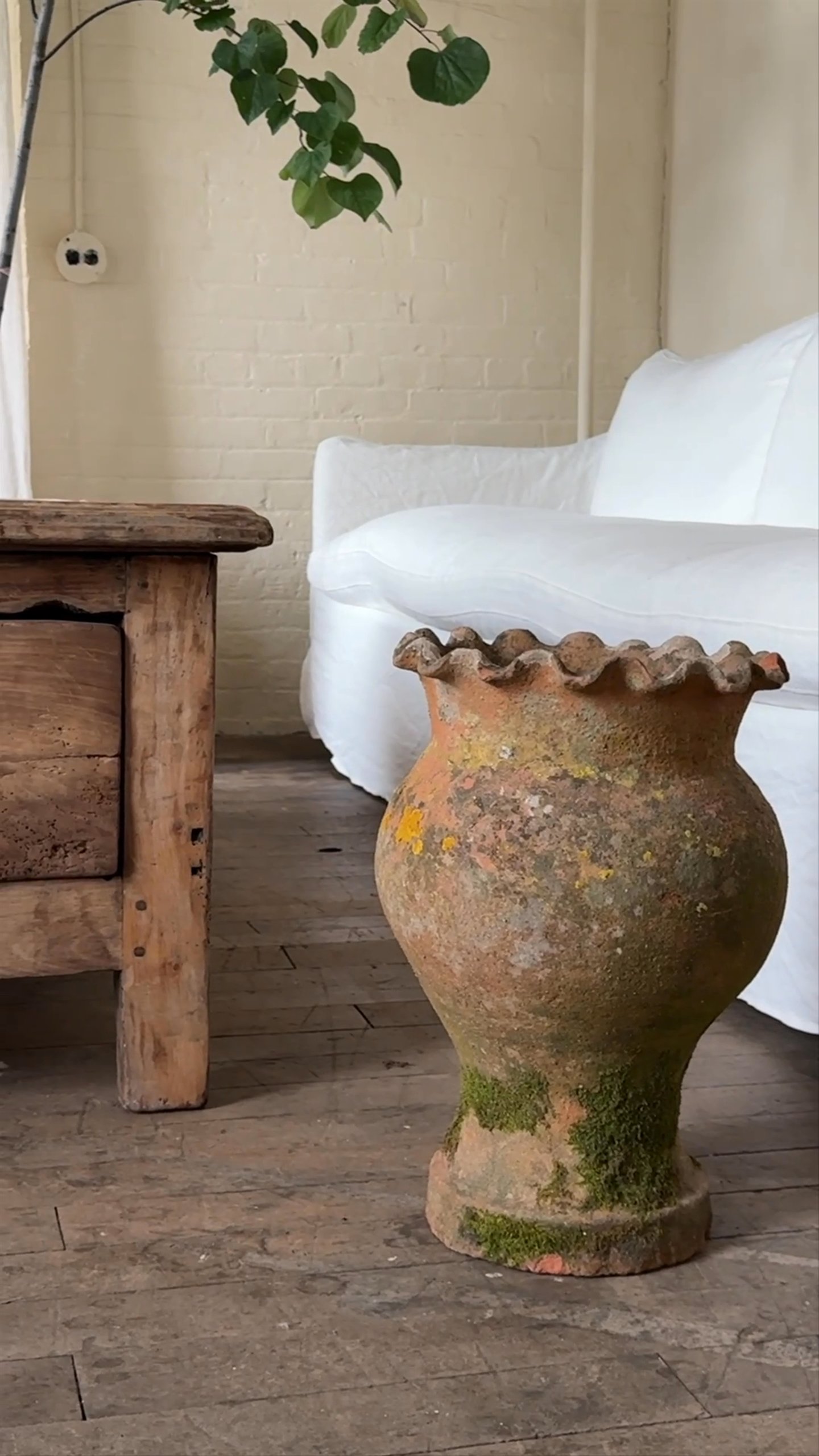 Scalloped Terracotta Pot