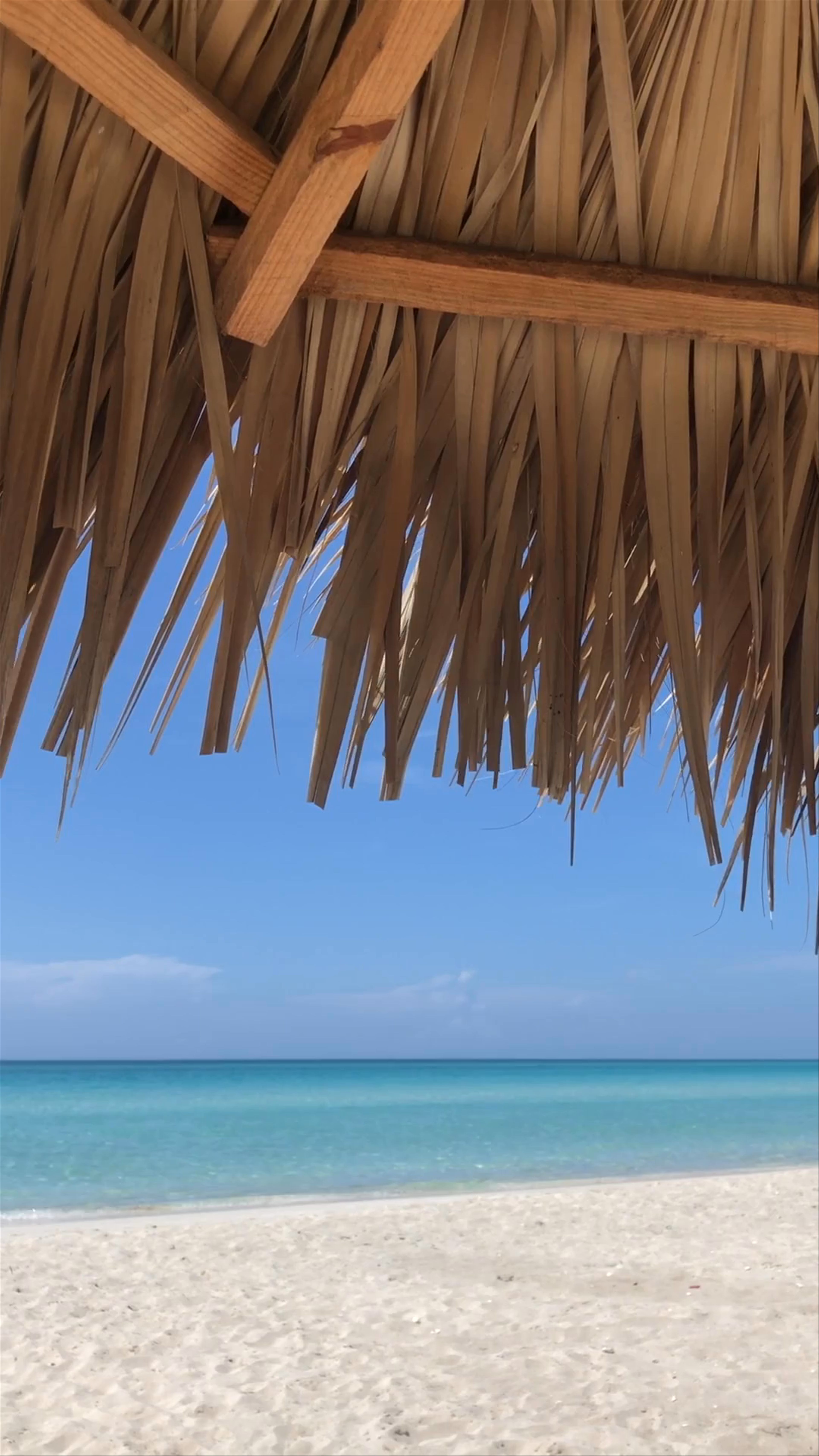 Royalton Hicacos Resort & Spa