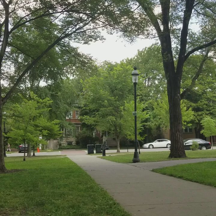 Palmer Square - Parks Near Me - Chicago, Illinois