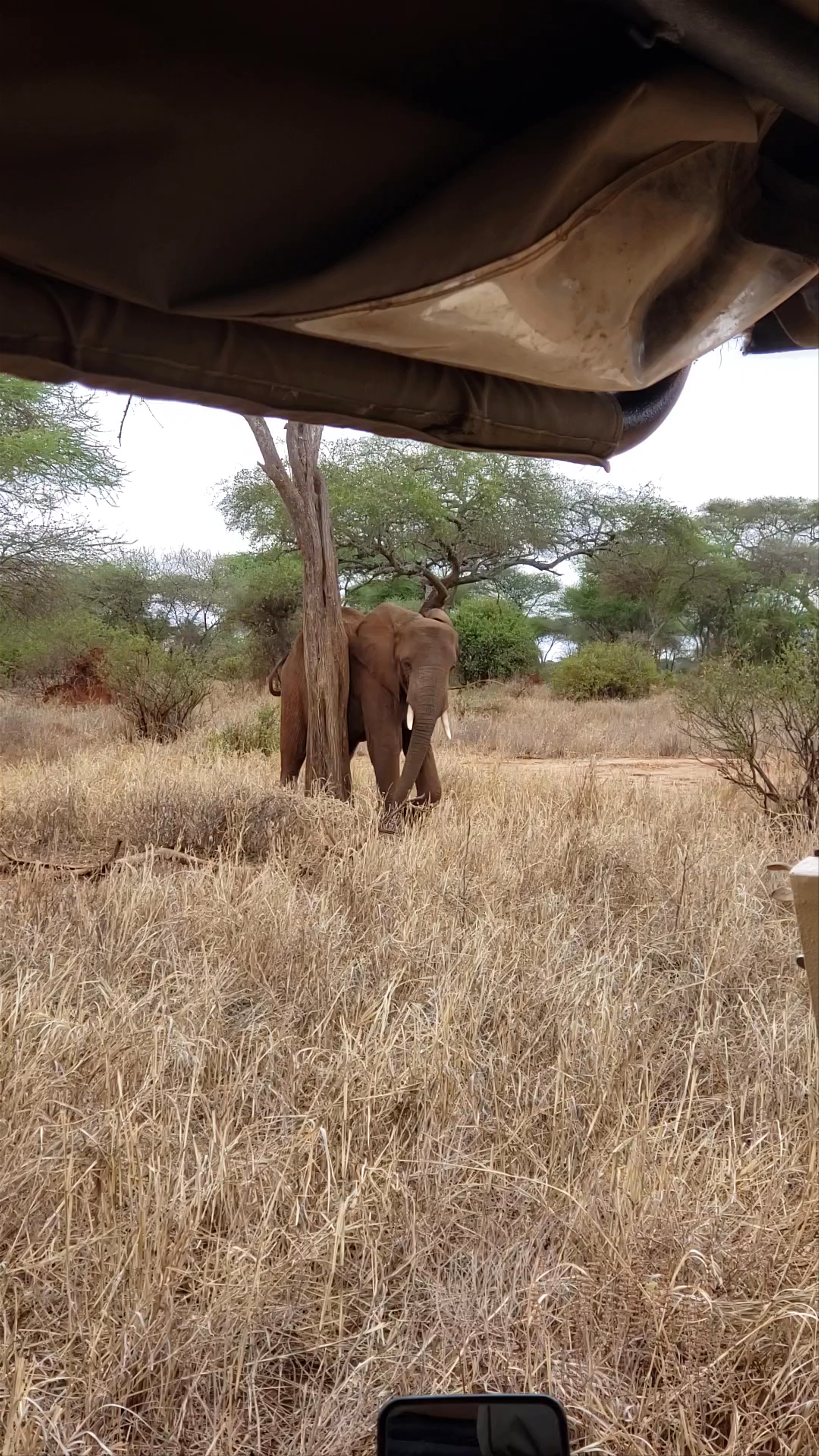Tarangire National Park