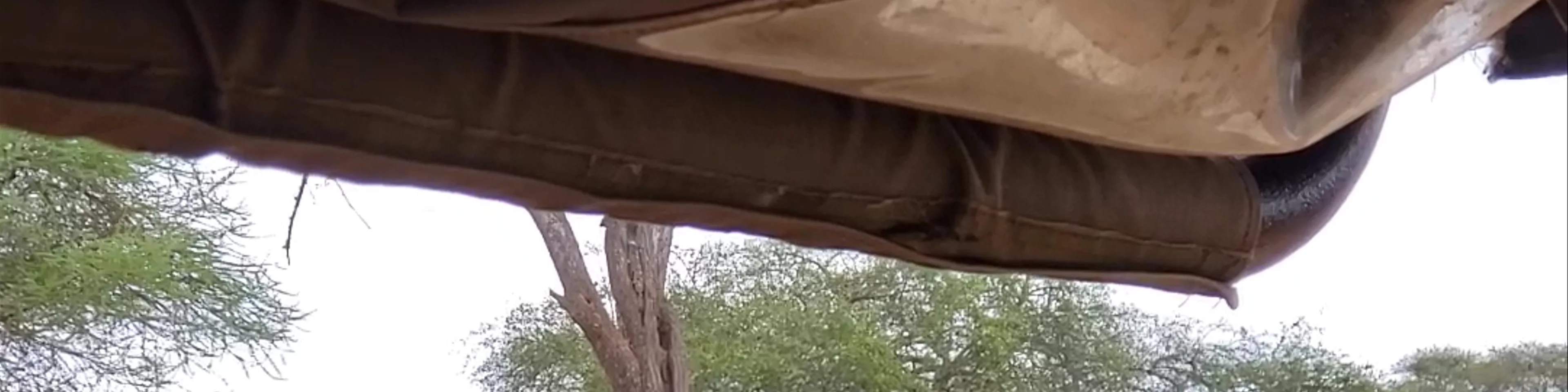 Tarangire National Park