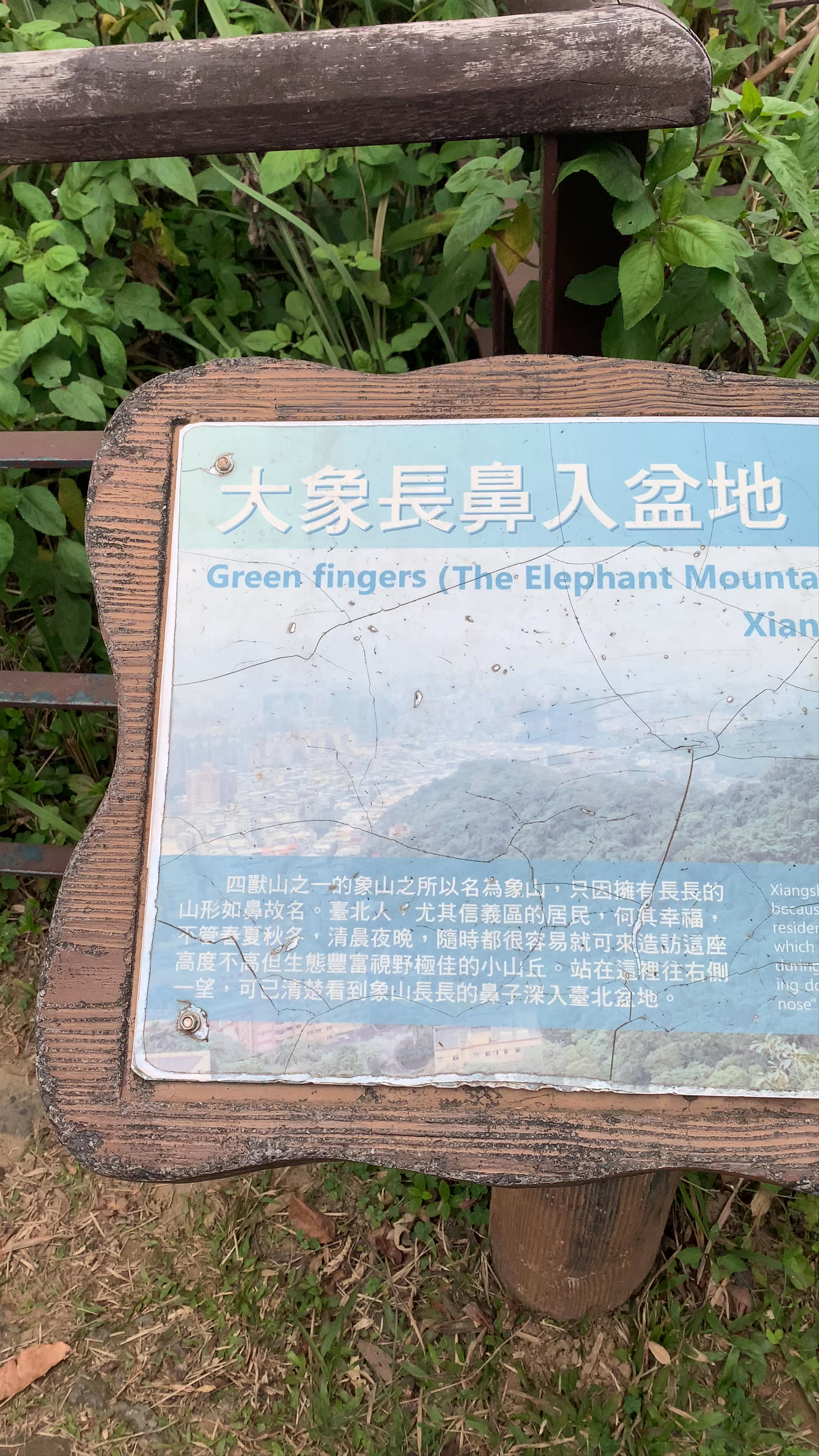 Elephant Mountain