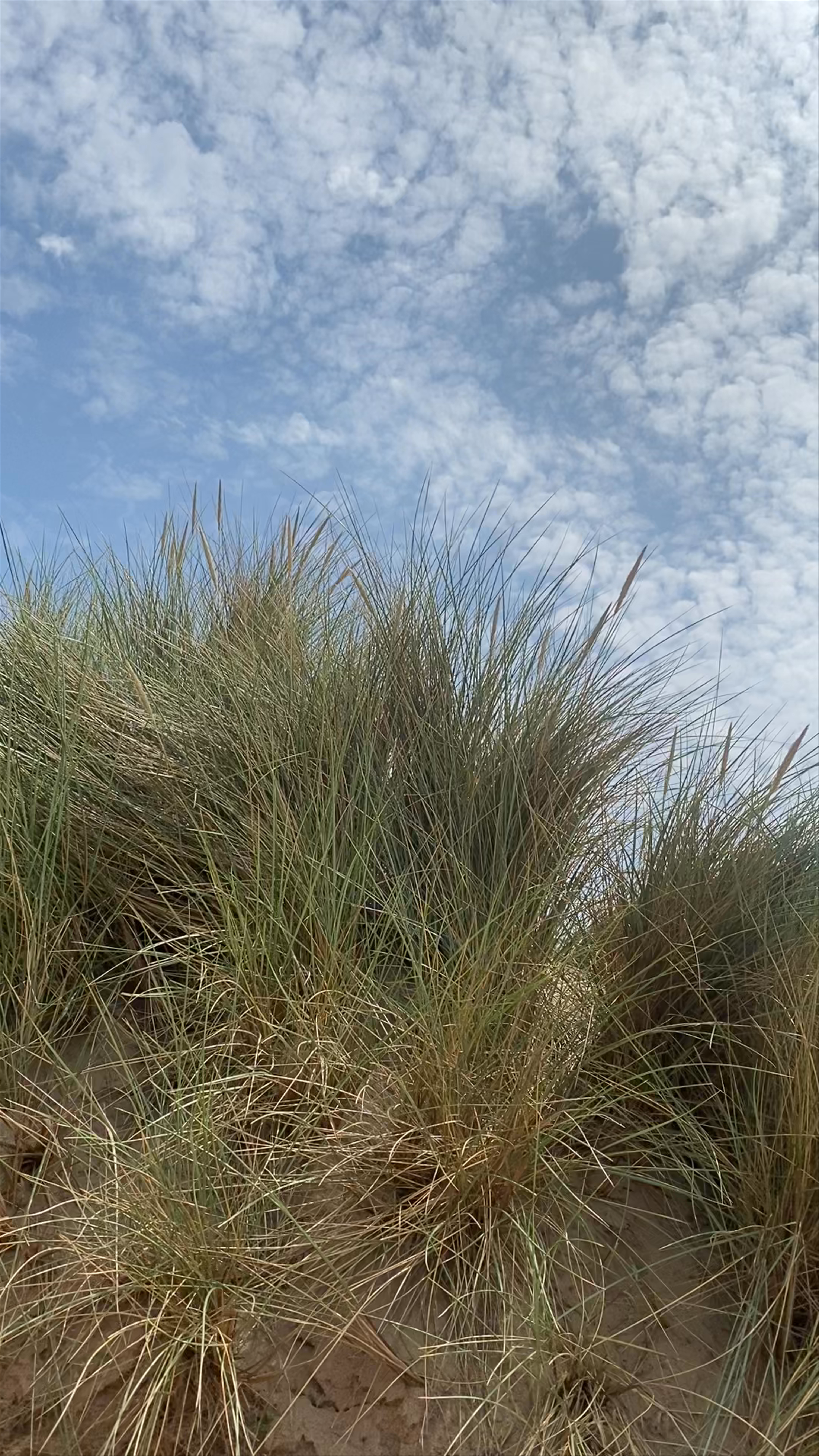 Formby Beach