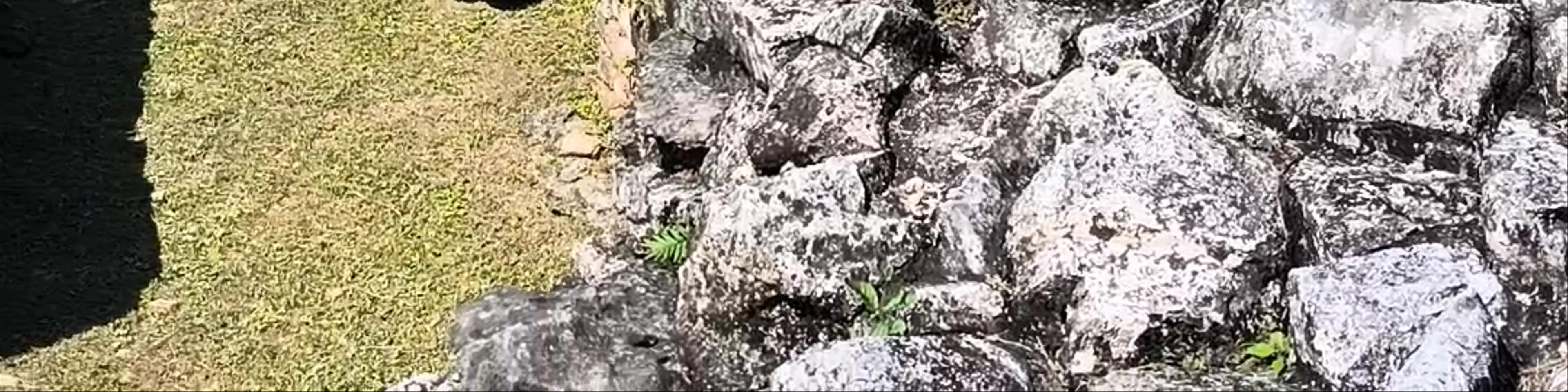 Palenque