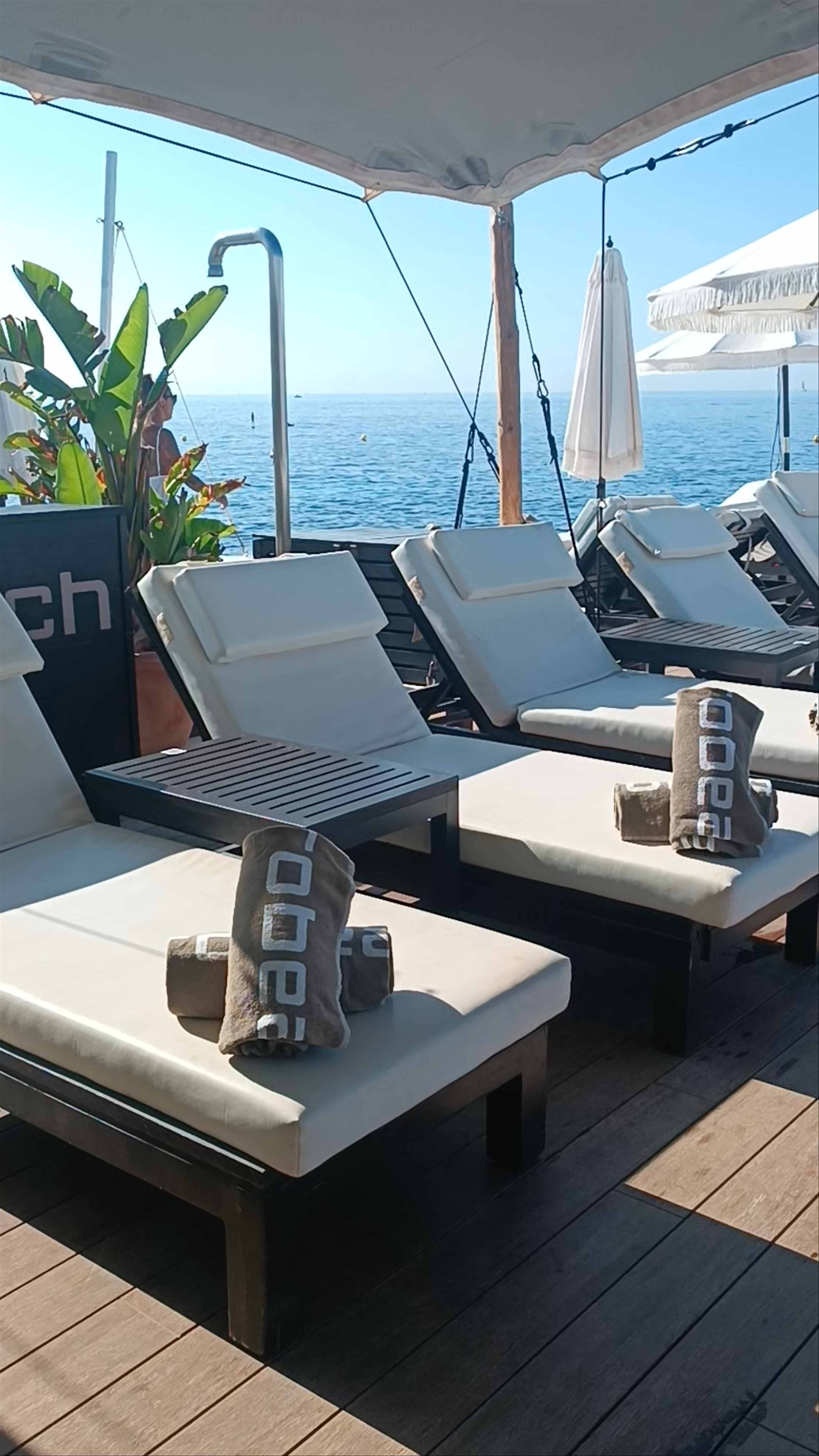 Purobeach Palma